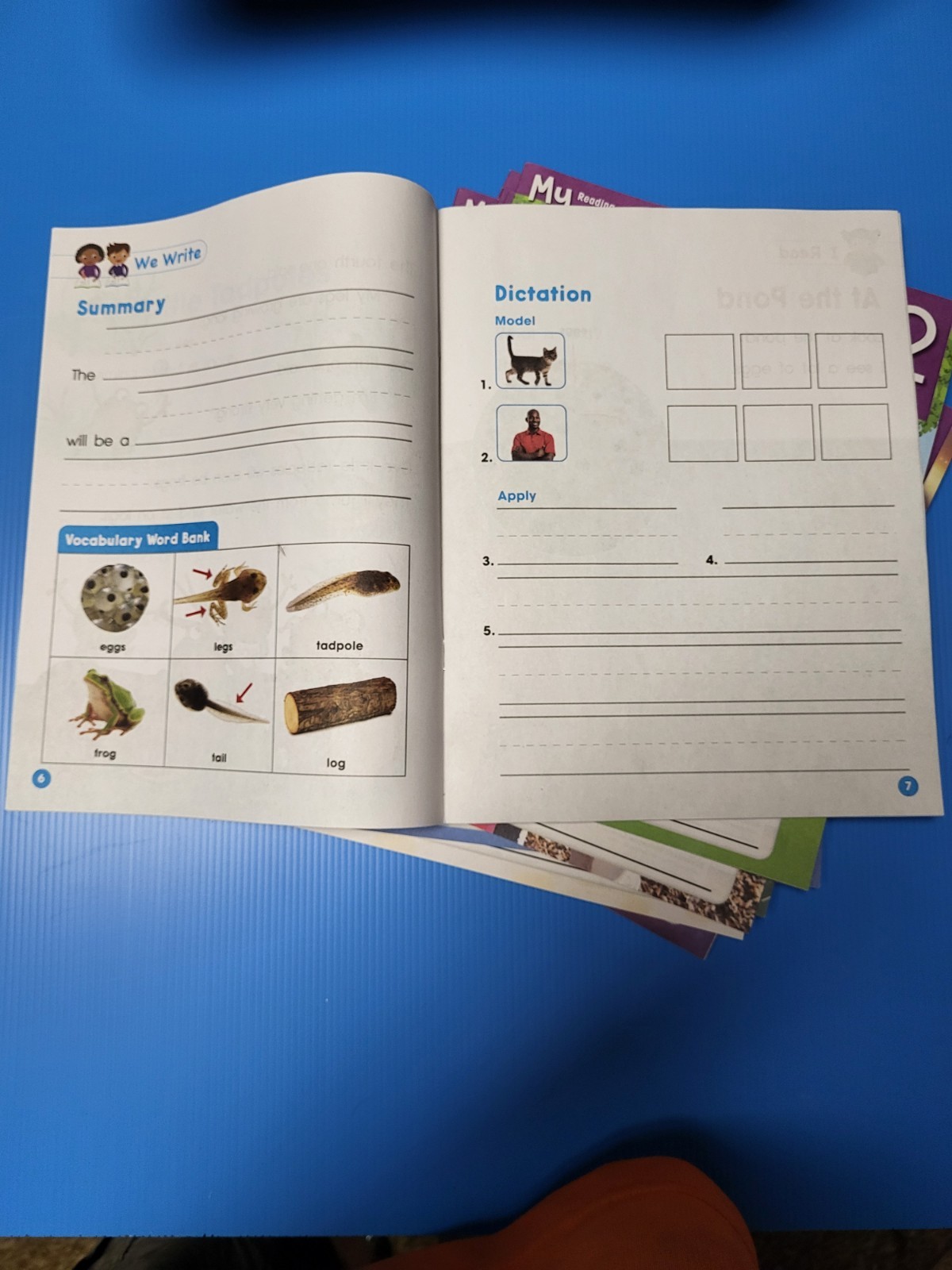 My Reading And Writing Grade 1 Units 1-10 Complete Set Benchmark Education New