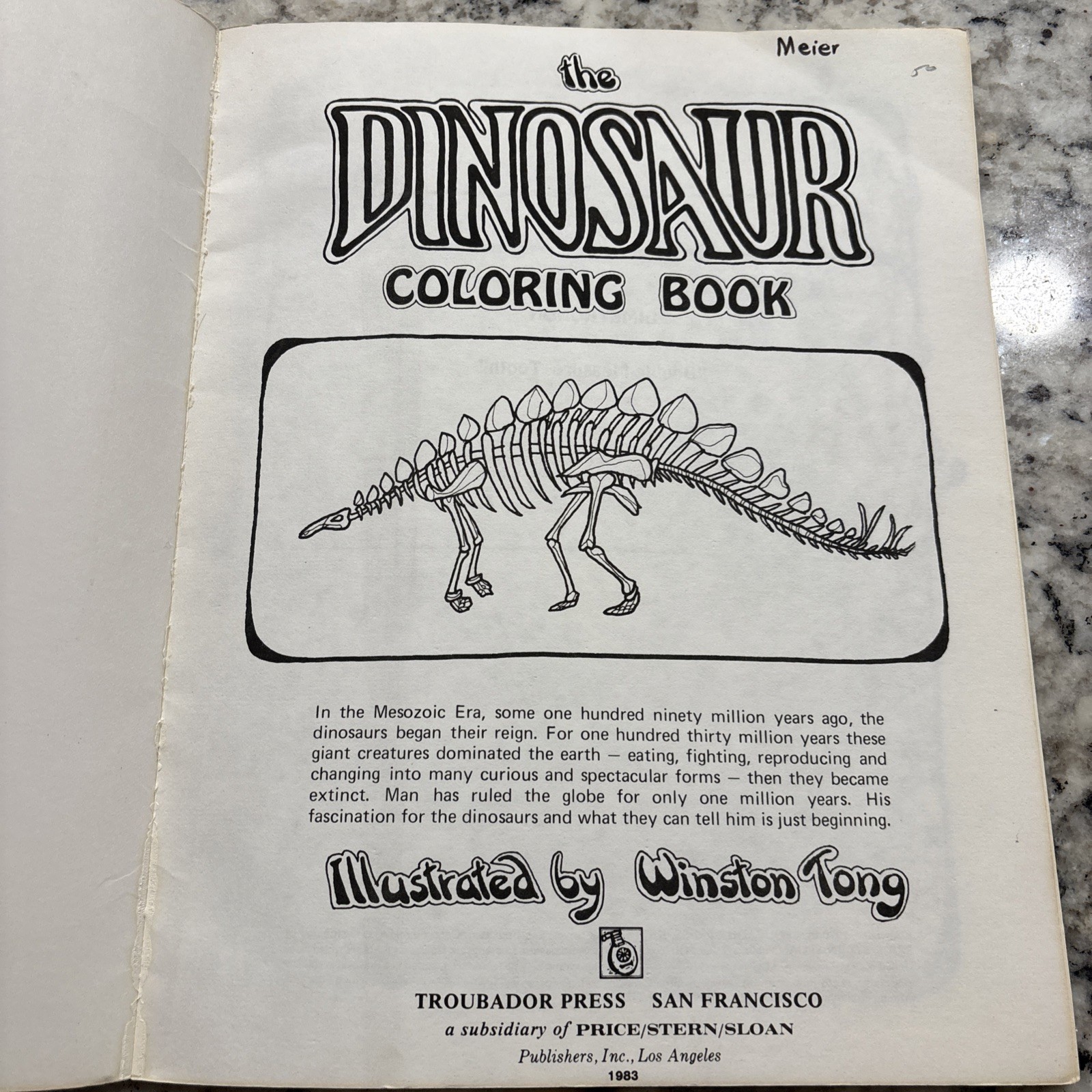 Dinosaur Coloring Book Troubador Press 1970 Retro Unused Oversized