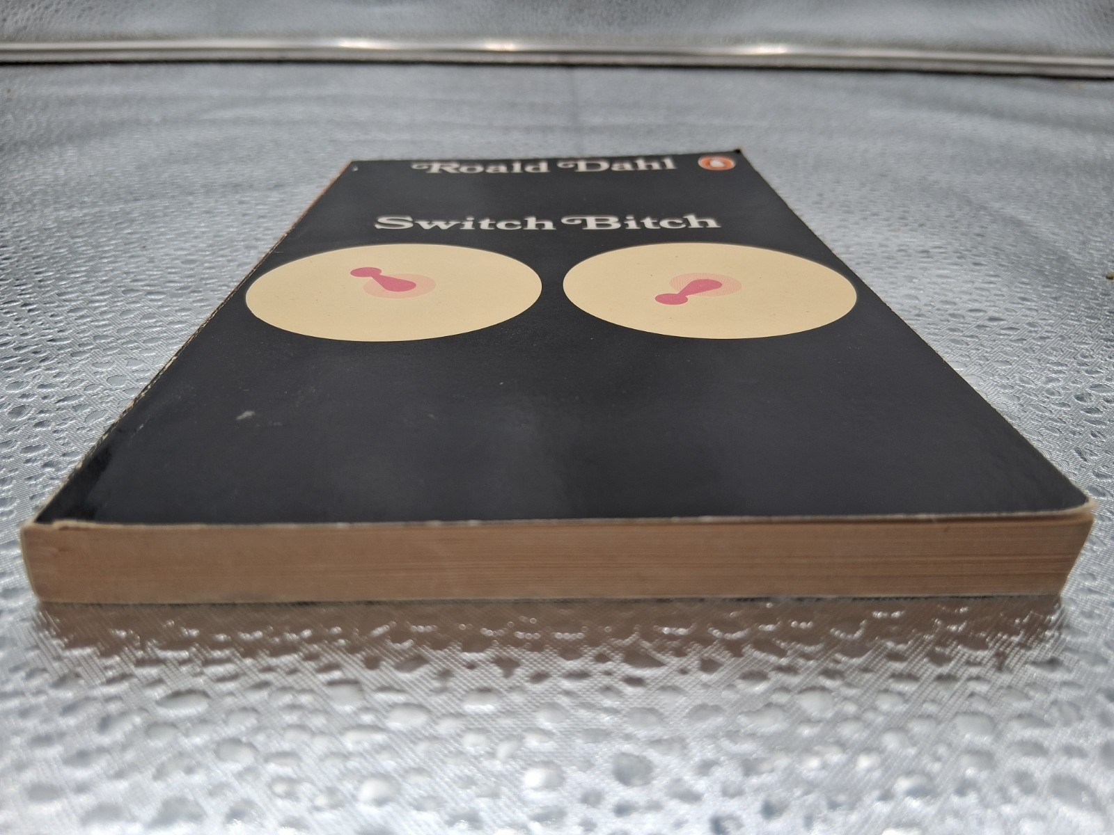 Switch Bitch By Roald Dahl Penguin Paperback