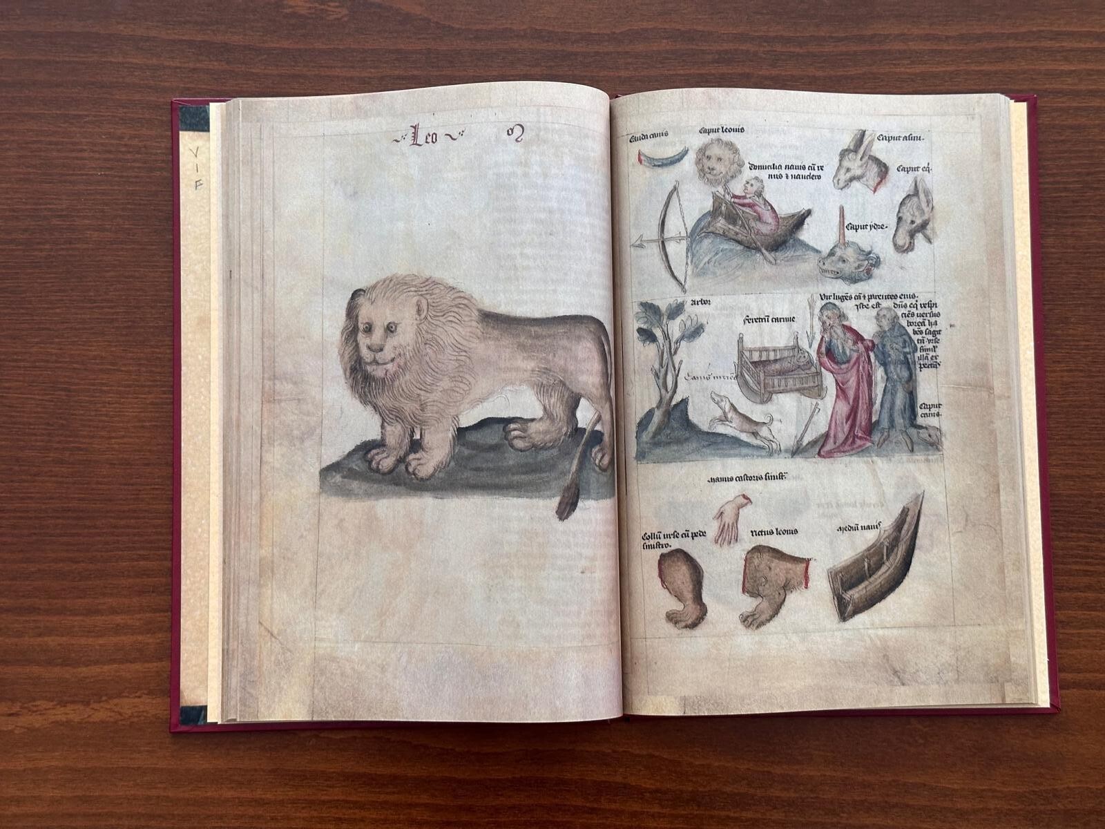 Treatise on Astrology by Albumazar – Liber Astrologiae Leatherbound Facsimile