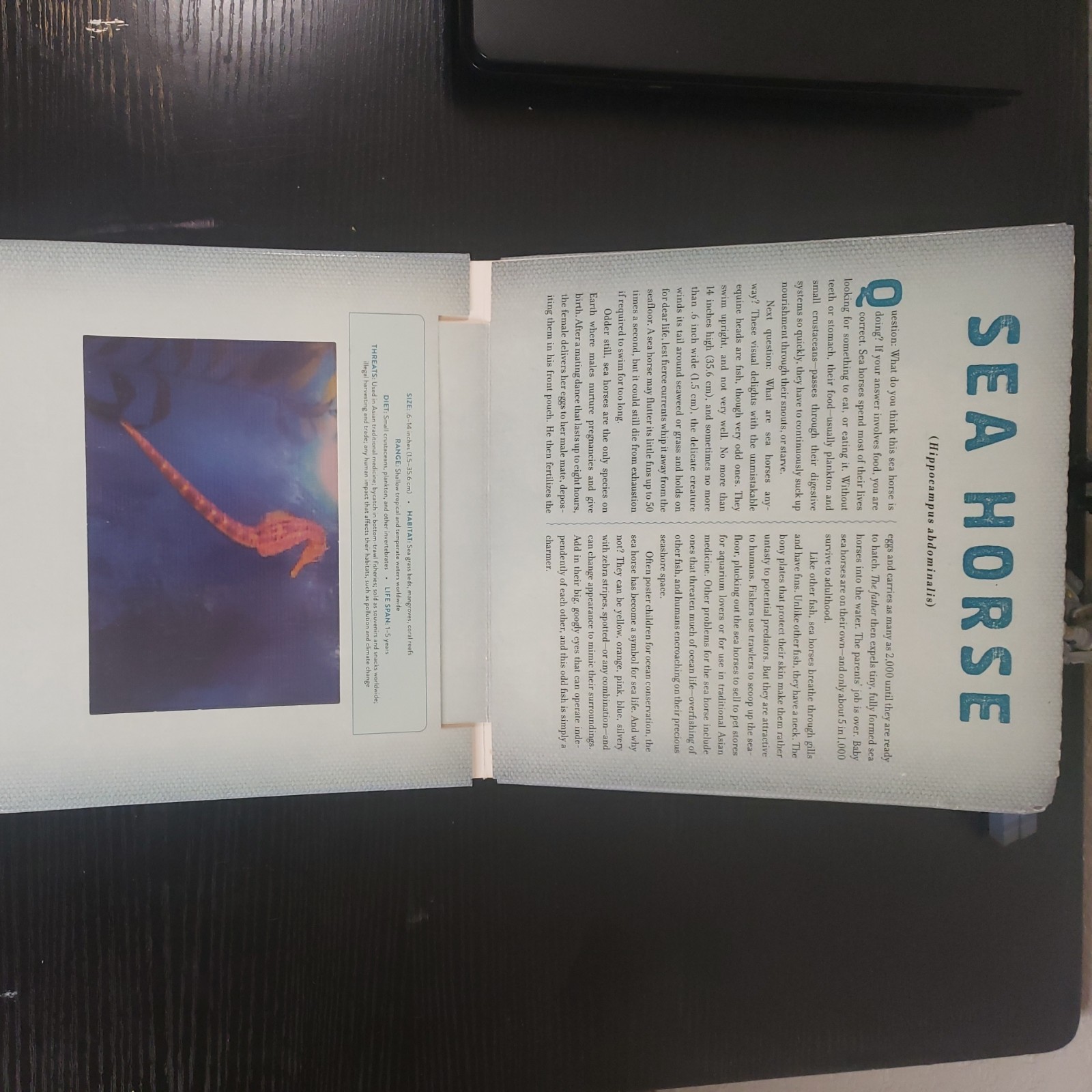 Ocean : A Photicular Book by Carol Kaufmann and Dan Kainen (2014, Hardcover)