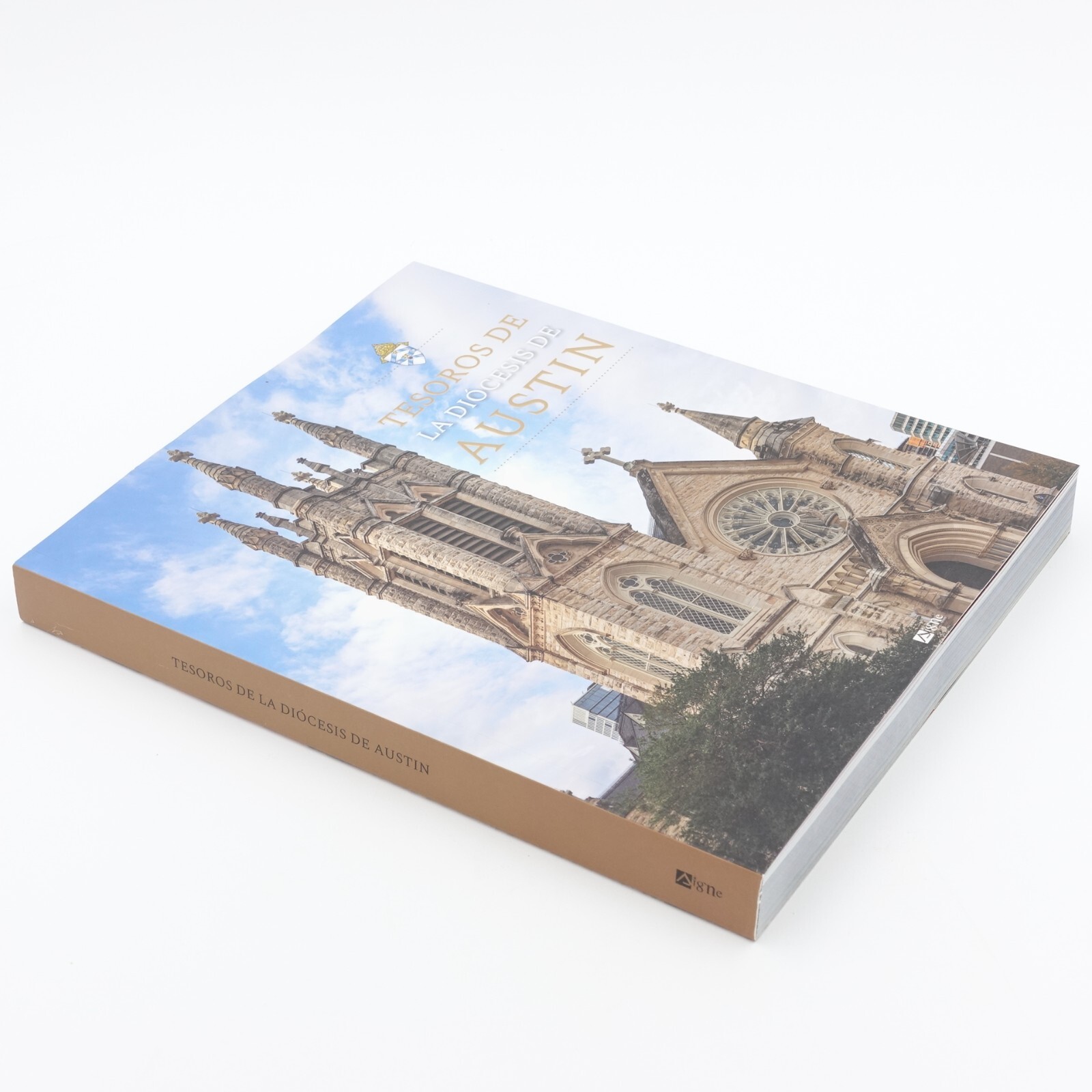 Tesoros De La Diocesis De Austin PB 2022 392 Pages Spanish Edition 9782746843905