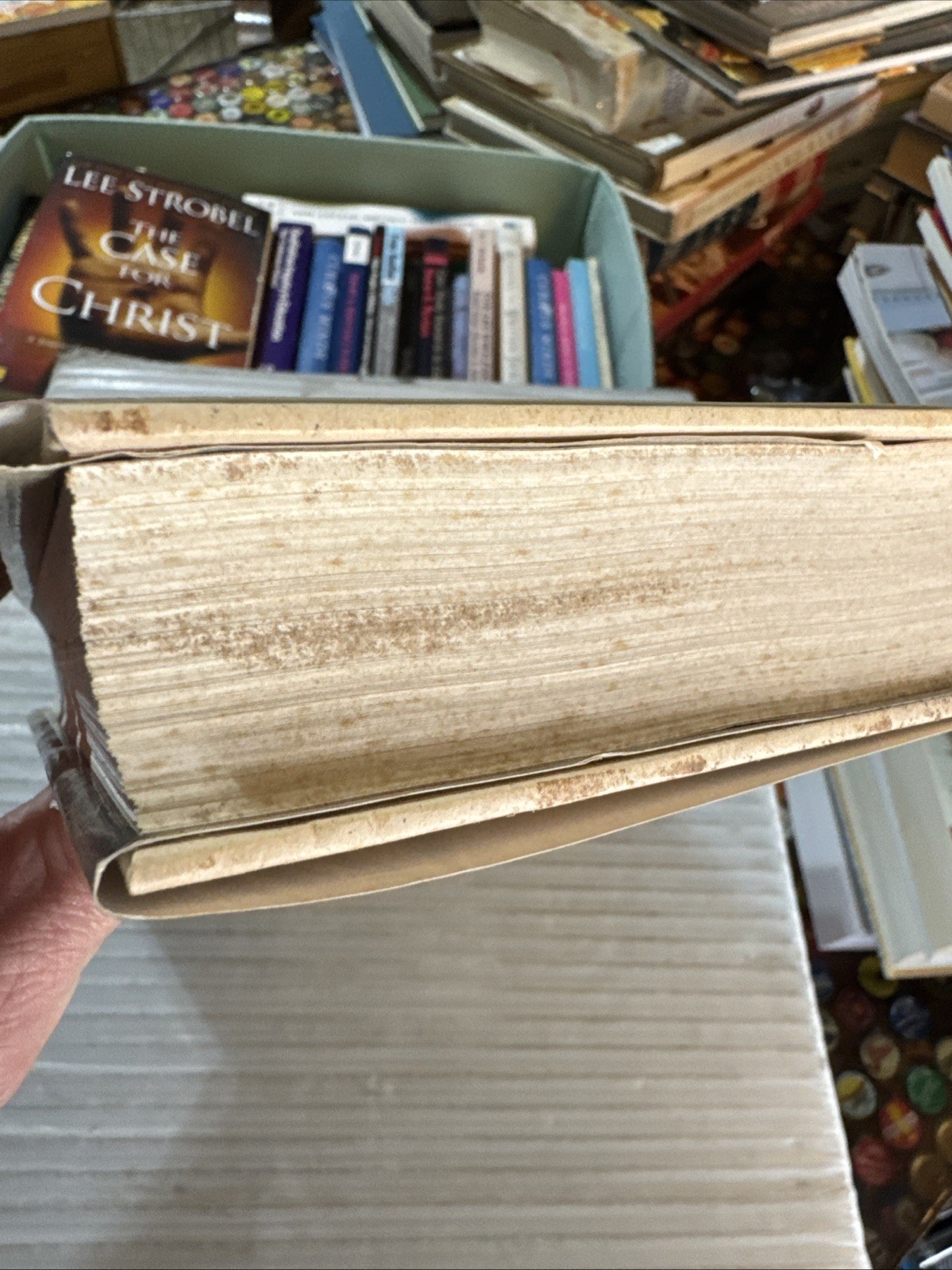 Black Thorn, White Rose (1st Ed/1st Printing) – Adult Fairy Tale Anthology