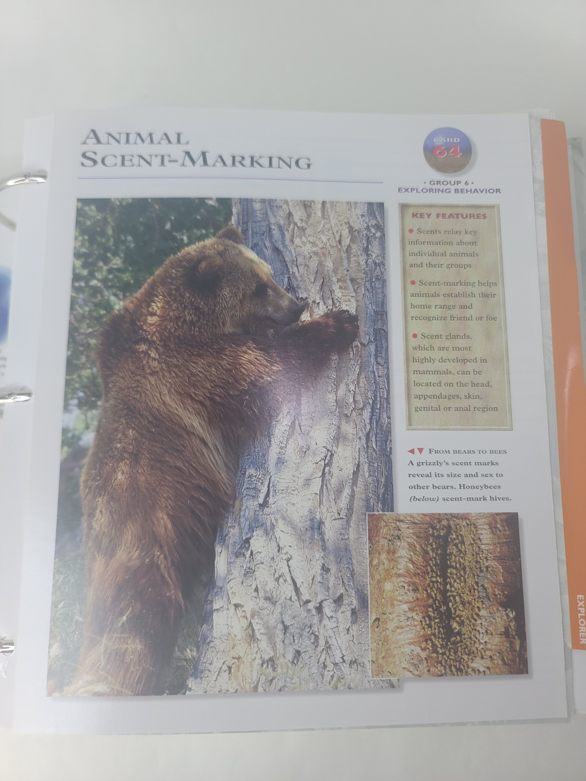 Wildlife Explorer Hard Binder 3 Groups over 254 BiFold Full Color Pages IMP Inc.