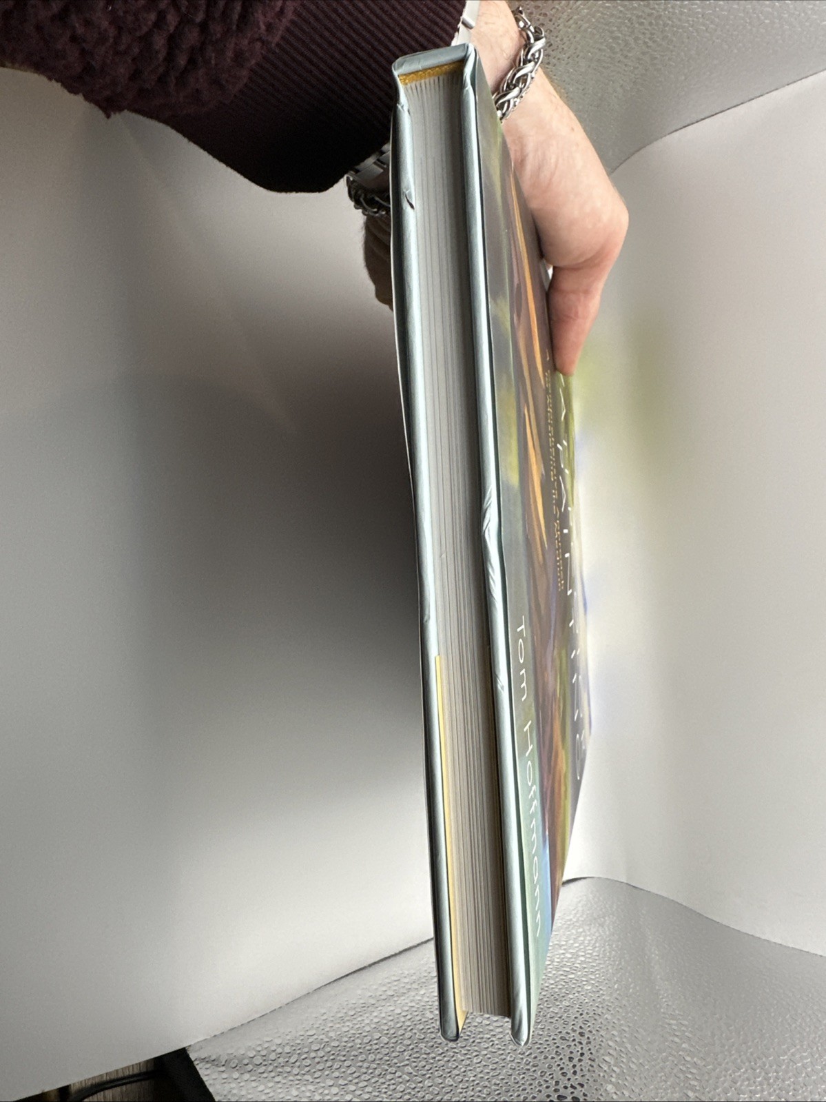 Watercolor Painting : A Comprehensive Approach to Mastering the Medium Hoffman