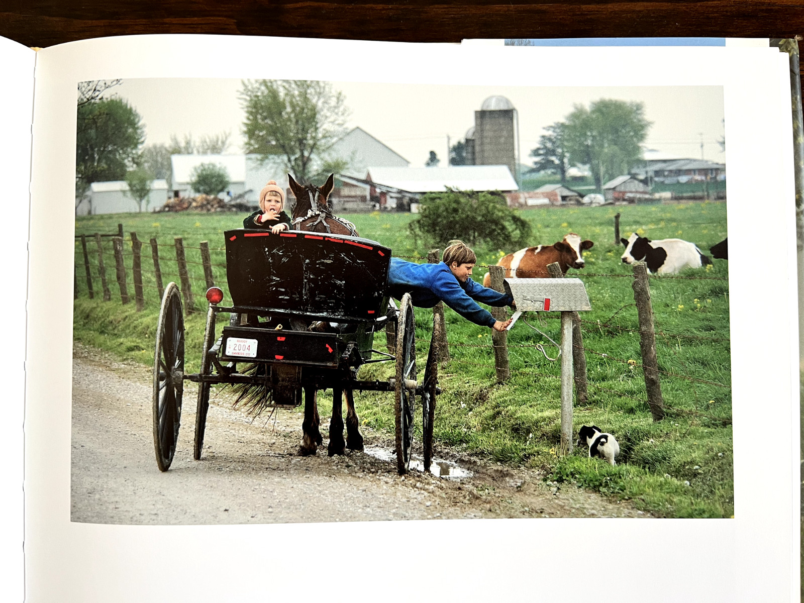 Amish Life : Living Plainly and Serving God Hardcover — Darryl D. Jones