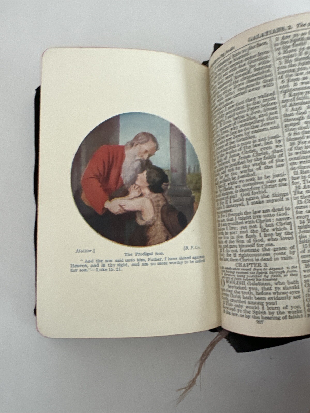 The Holy Bible Illustrated Scholars Edition Leatherette Cover Gild Edging 1920s