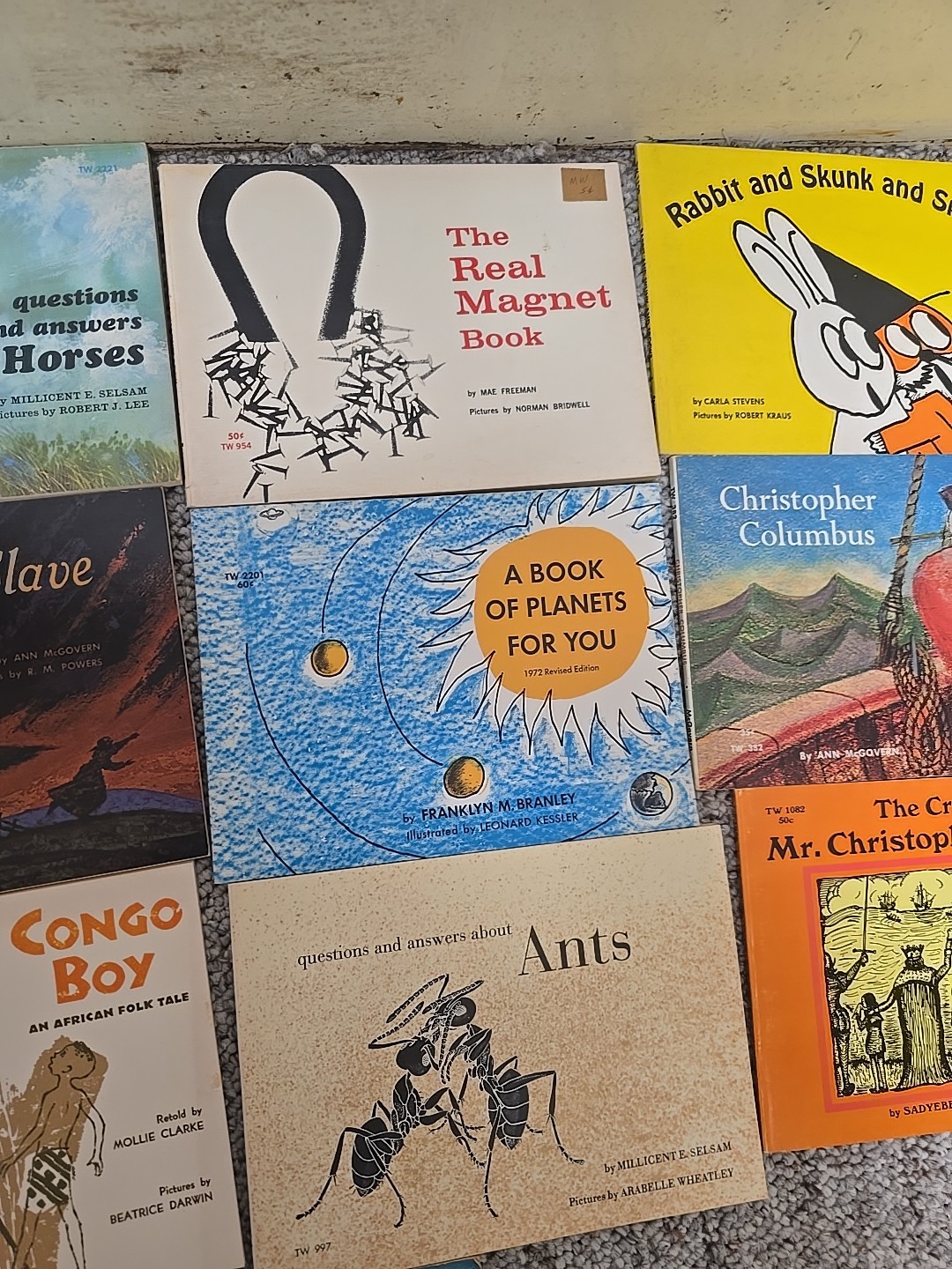 Lot of 10 Mixed Authors Runaway Slave, Congo Boy, Ants Paperback Childrens Books