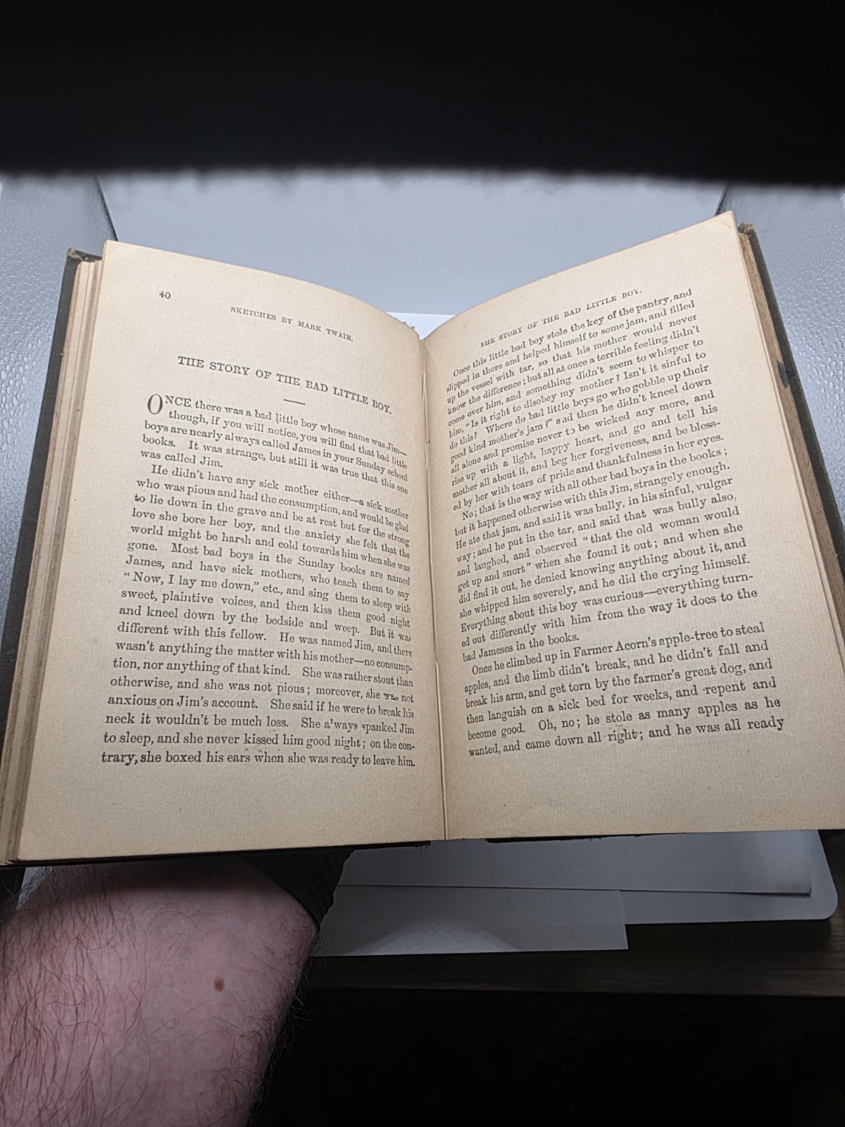 1880 Mark Twain Sketches Slemmin & Higgins Canadian Pirated 1st Edition