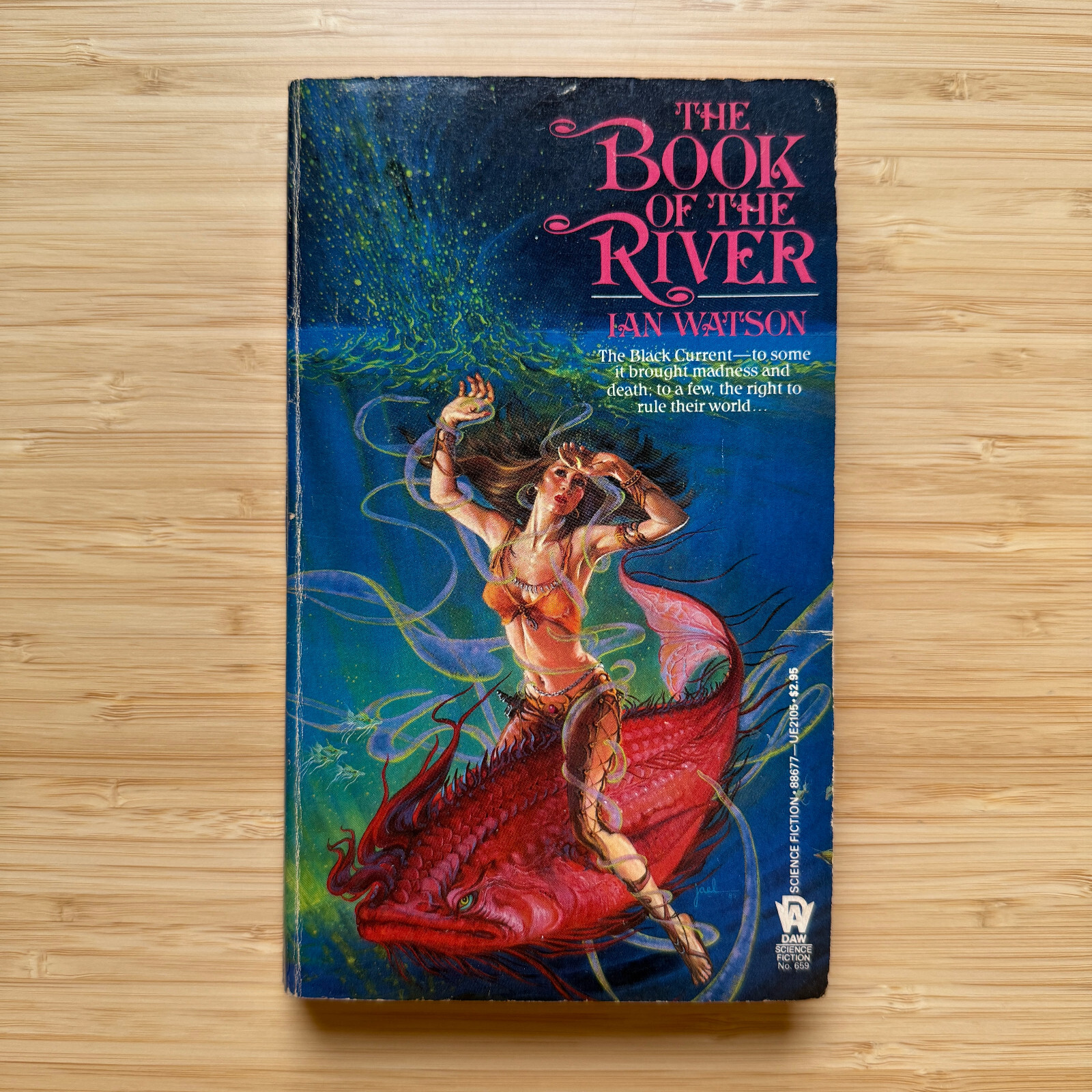 The Book of the River by Ian Watson 1986 1st DAW Printing #659 PB Vintage SF