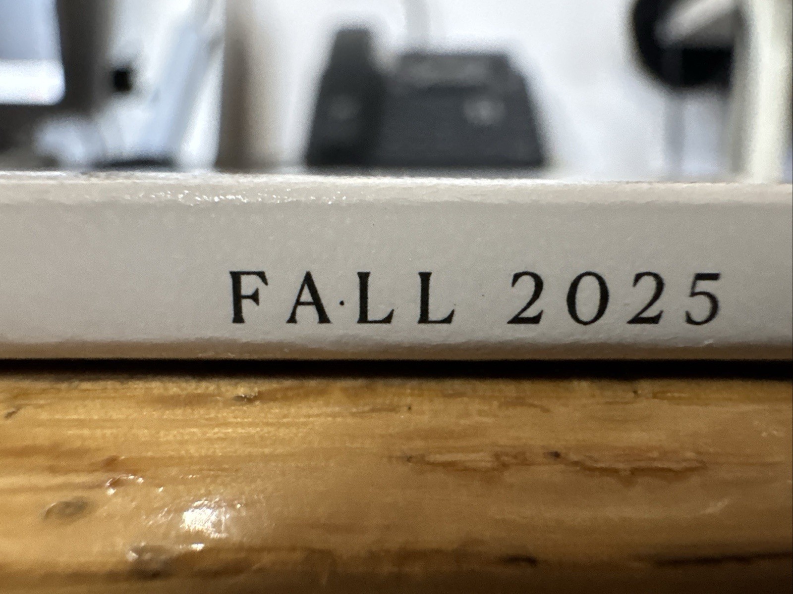 THE CUT MAGAZINE-NEW YORK A SPECIAL ISSUE-FALL 2025-VIVIAN WILSON-Brand New