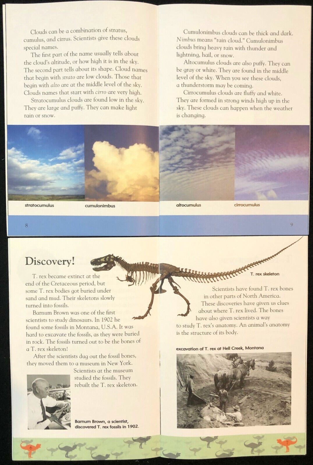 2nd Grade EARTH SCIENCE Curriculum Readers (9 books) Teachers/Homeschool/Tutors