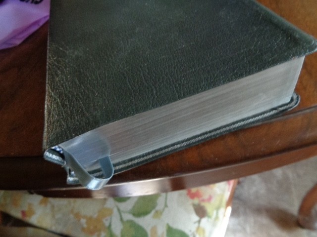 RIVERSIDE gray Genuine Leather Holy Bible KJV Giant Print Living Word WOC in red