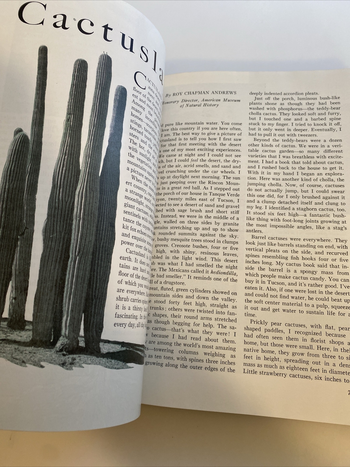 Vintage Book of Knowledge Annual 1951 Grolier Society HC abw