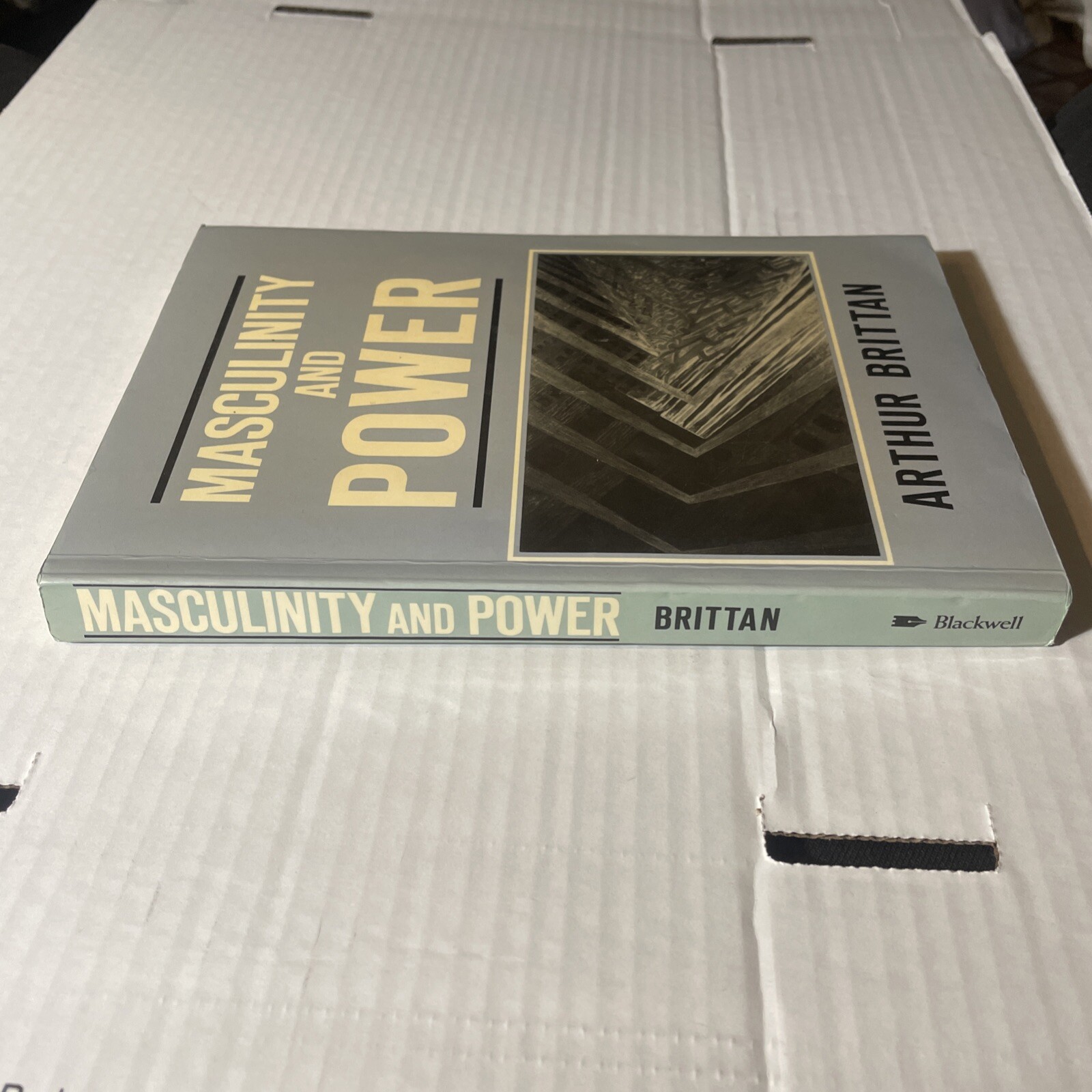 Masculinity and Power By Arthur Brittan
