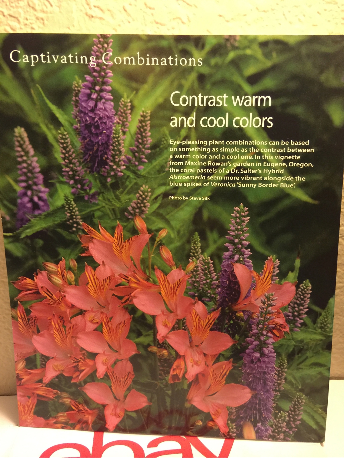 Tauton’s Fine Gardening – November 1998 #64 – Tempting Textures, Fall Shrubs