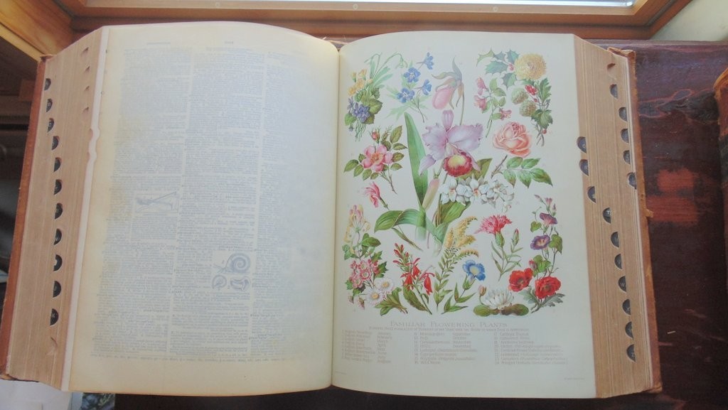1901 Funk & Wagnalls Standard Dictionary