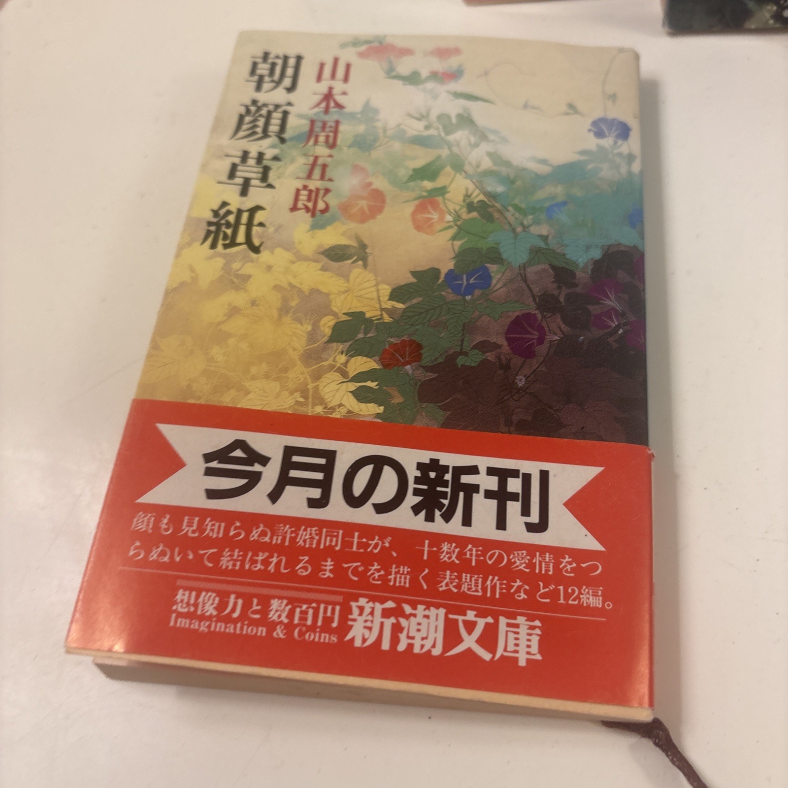 Japanese Paperback Pocket Books Novels Variety Lot 13. See Photos (bk9
