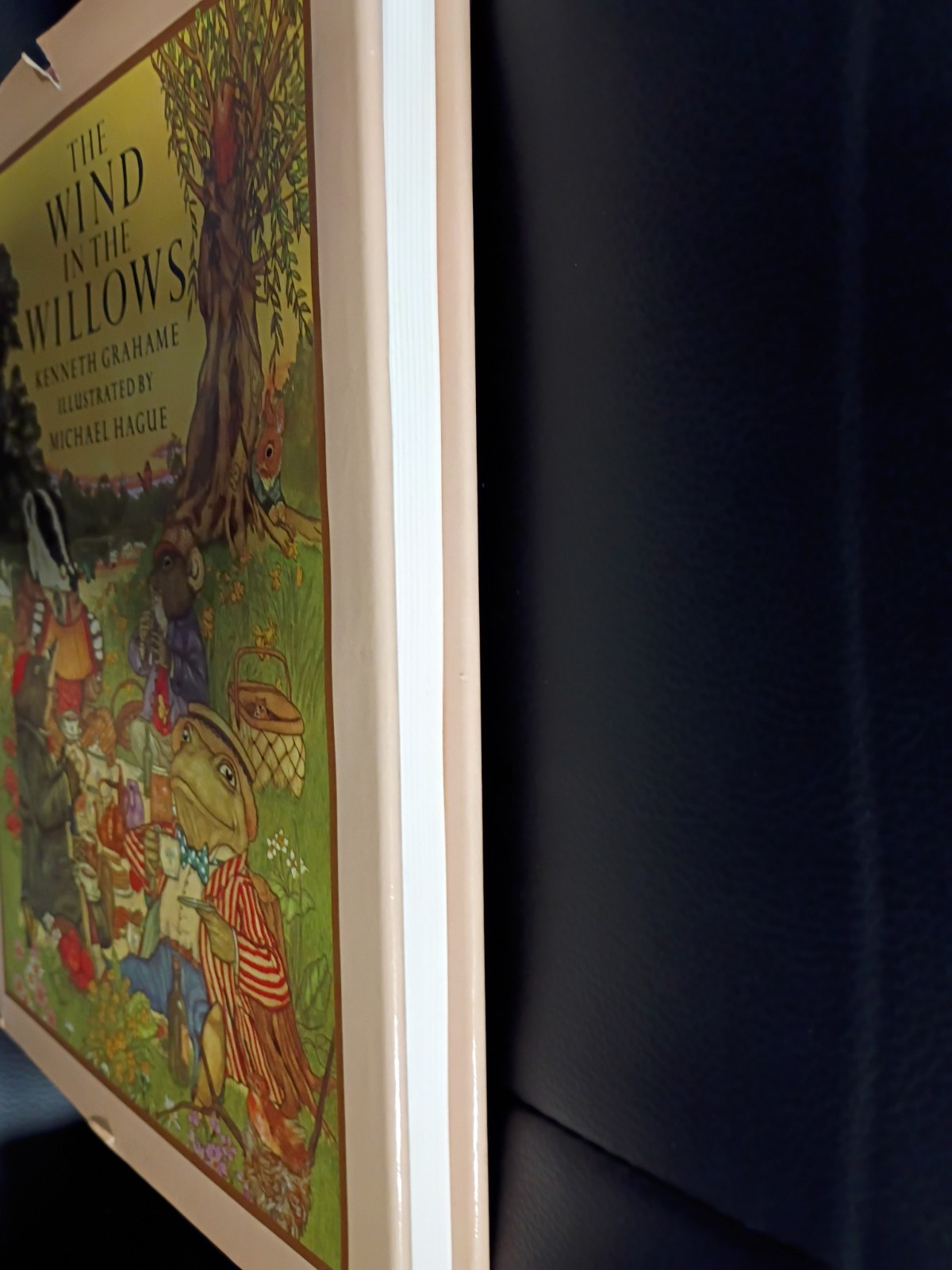 1980 The Wind in the Willows 1st Ed w/ Dust Jacket Kenneth Grahame Michael Hague