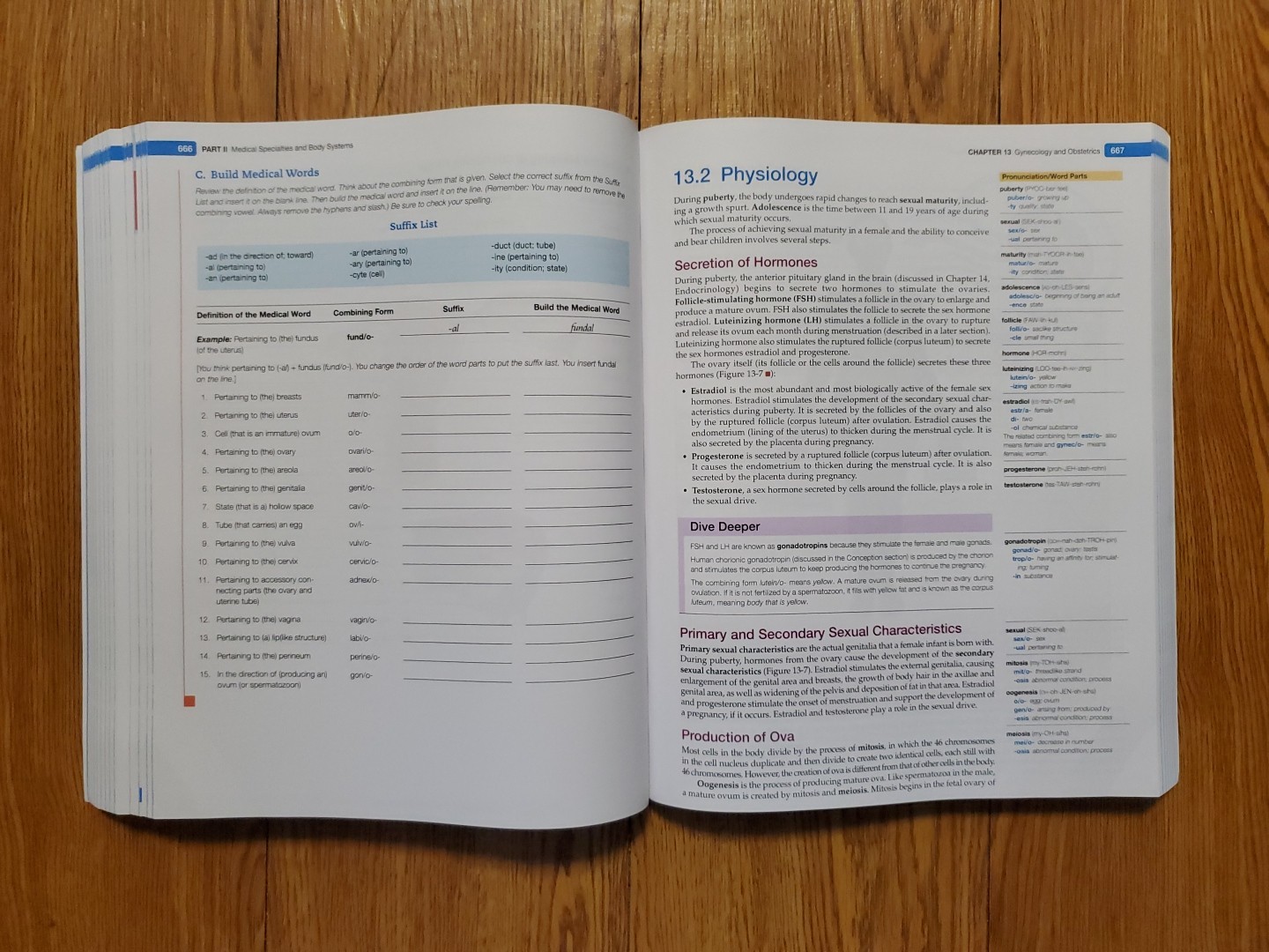 Medical Language Immerse Yourself 6th Edition Susan Turley