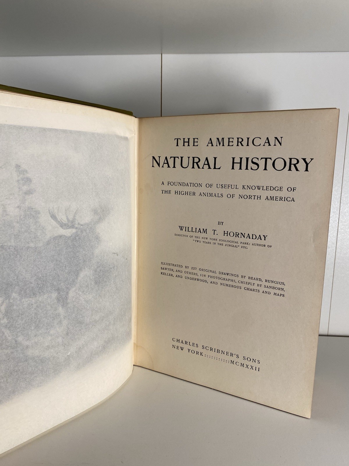 Antique Illustrated The American Natural History WT Hornaday 1912 Hardcover