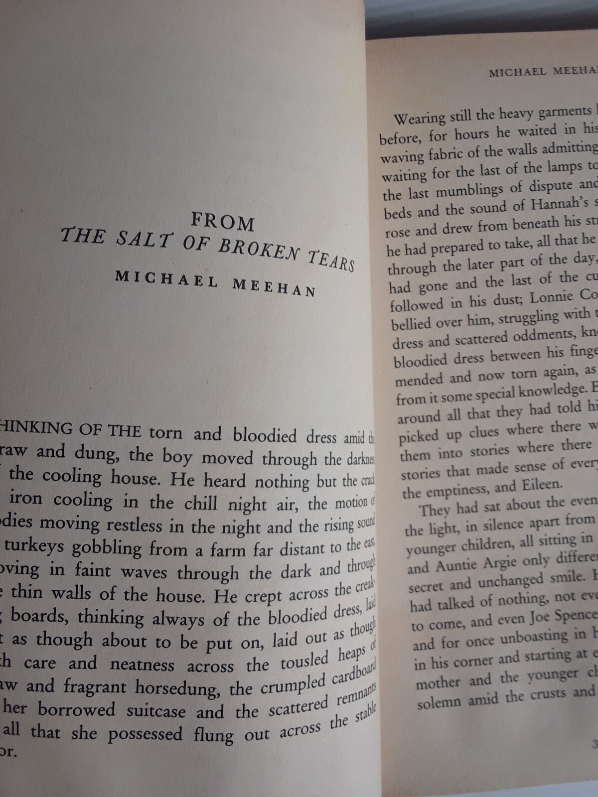 The Vintage Quarterly Number two / Winter 1999 Paperback Book