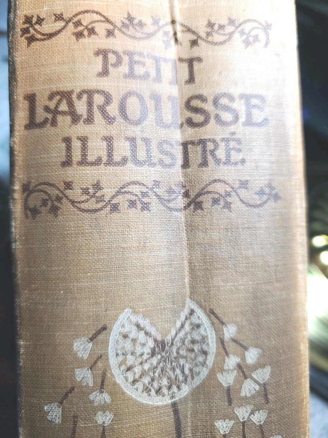 Antique 1920s Petit Larousse Illustrated Dictionary Paris HC French 1664 Pages