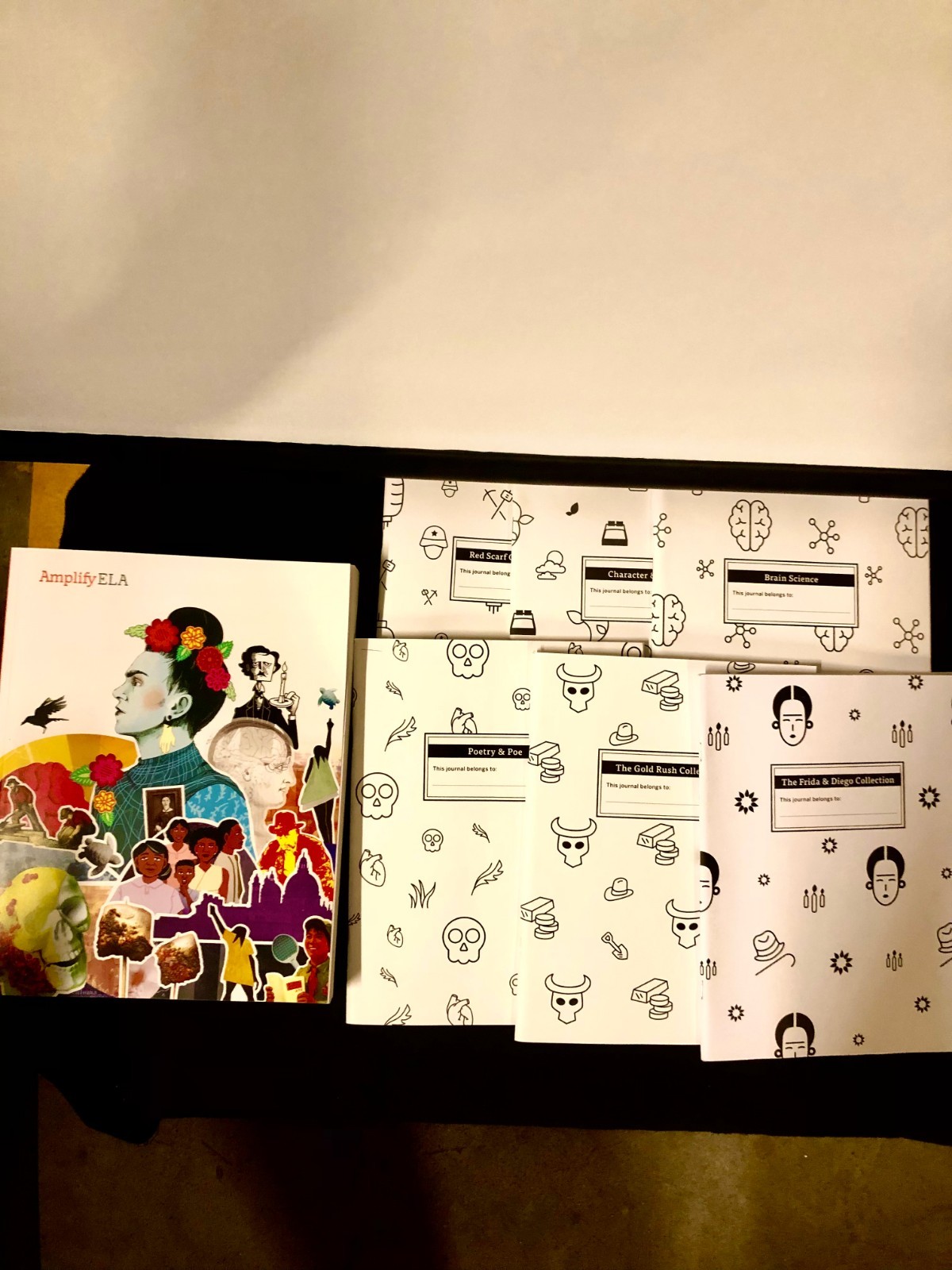 Amplify ELA Grade 7 Student Edition almost complete set missing 7E workbook
