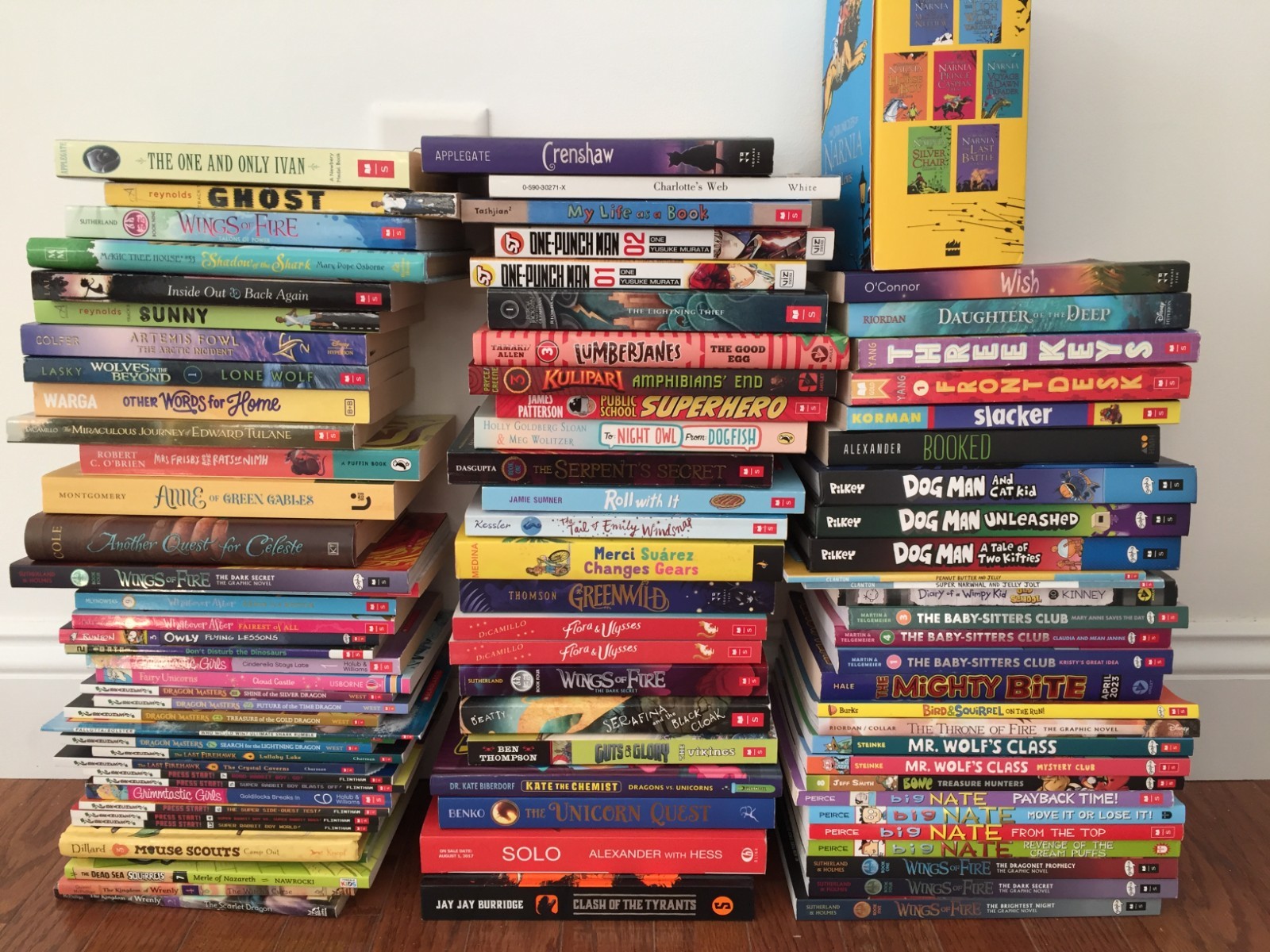 LIKE NEW 30 CHAPTER CHILDREN TEENS RANDOM BOOKS LOT MIX INSTANT LIBRARY 6 -12