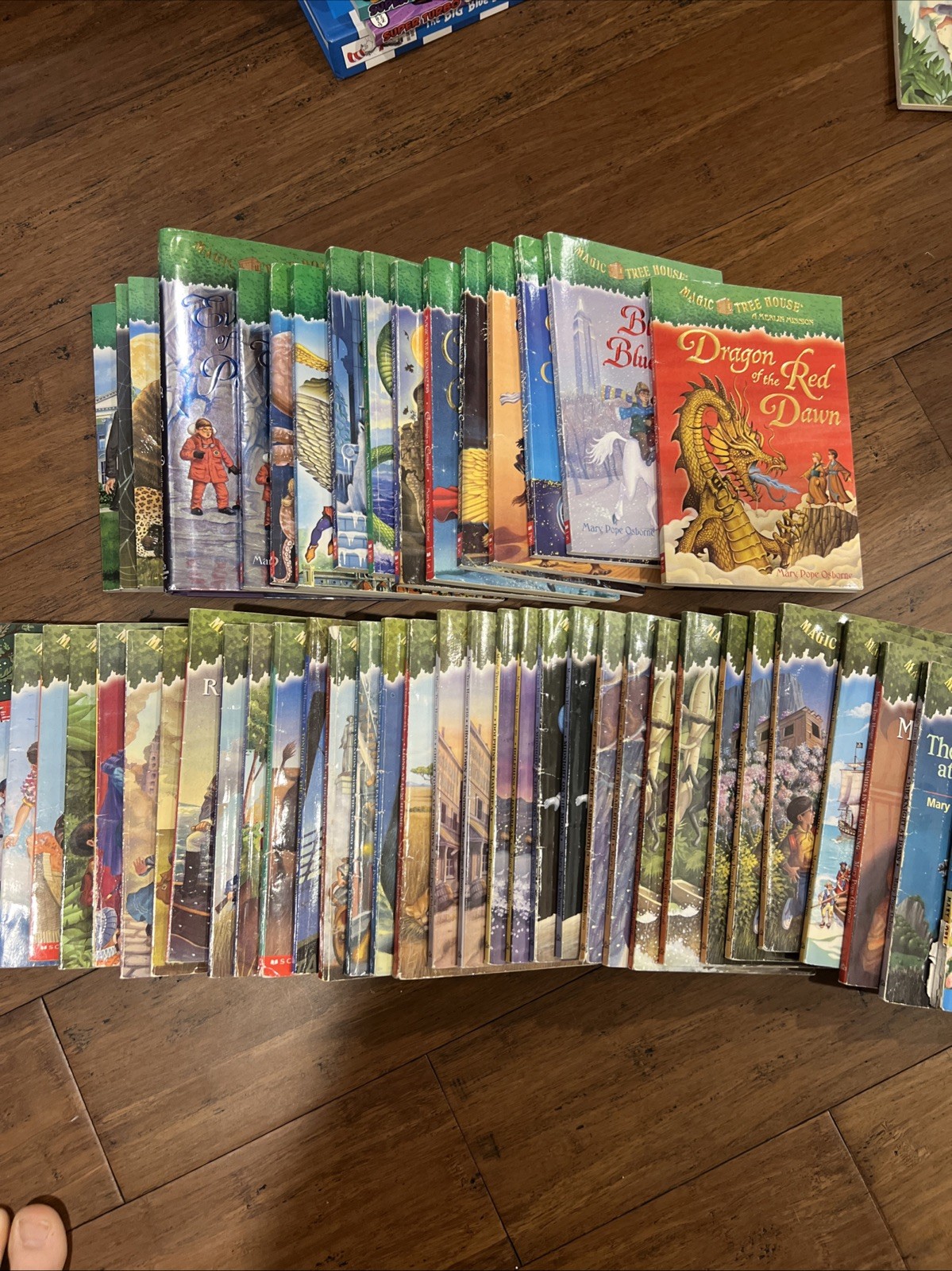 Magic Tree House Books Set by Mary Pope Osborne. Lot Of 55 Books