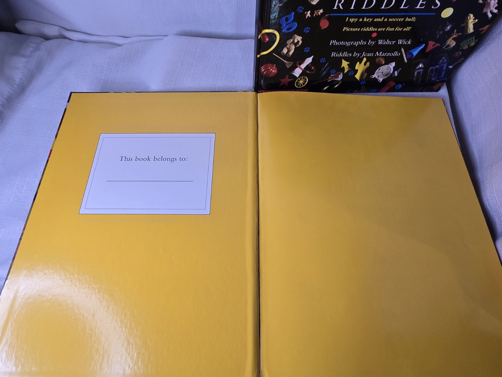 I Spy Books 90s Scholastic Gold Challenger And Mystery LOT Of 2