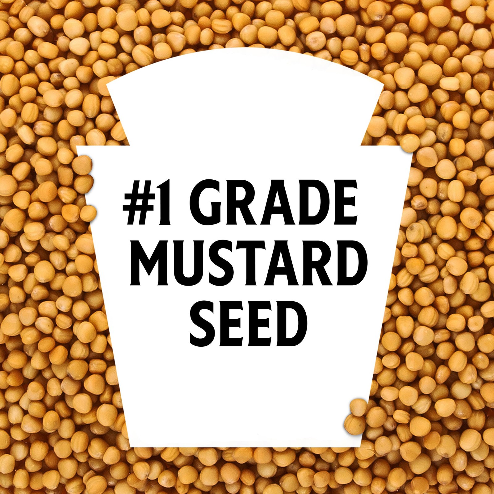 Heinz Yellow Mustard, 8 oz Bottle 8 Ounce (Pack of 1)