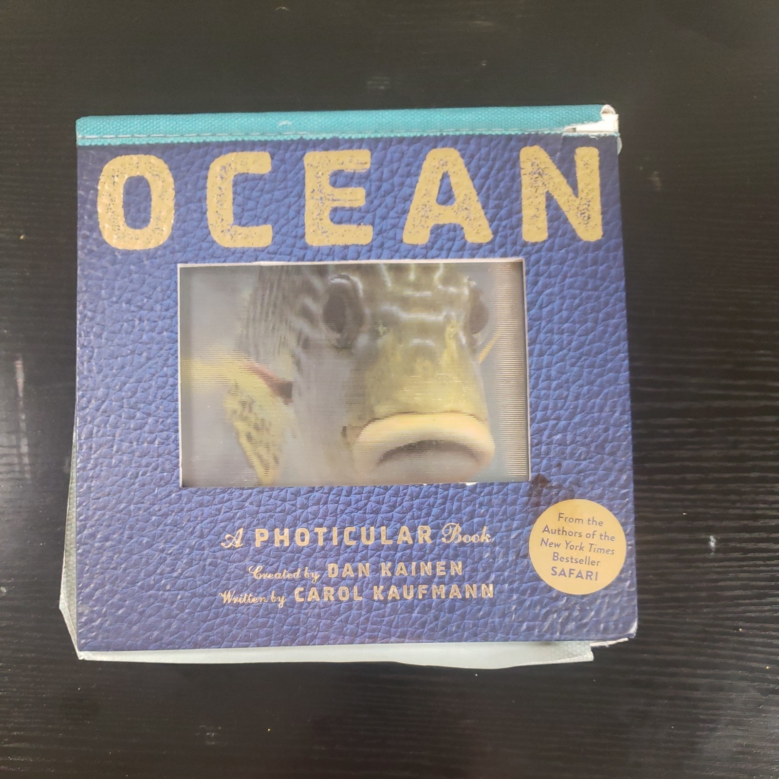 Ocean : A Photicular Book by Carol Kaufmann and Dan Kainen (2014, Hardcover)
