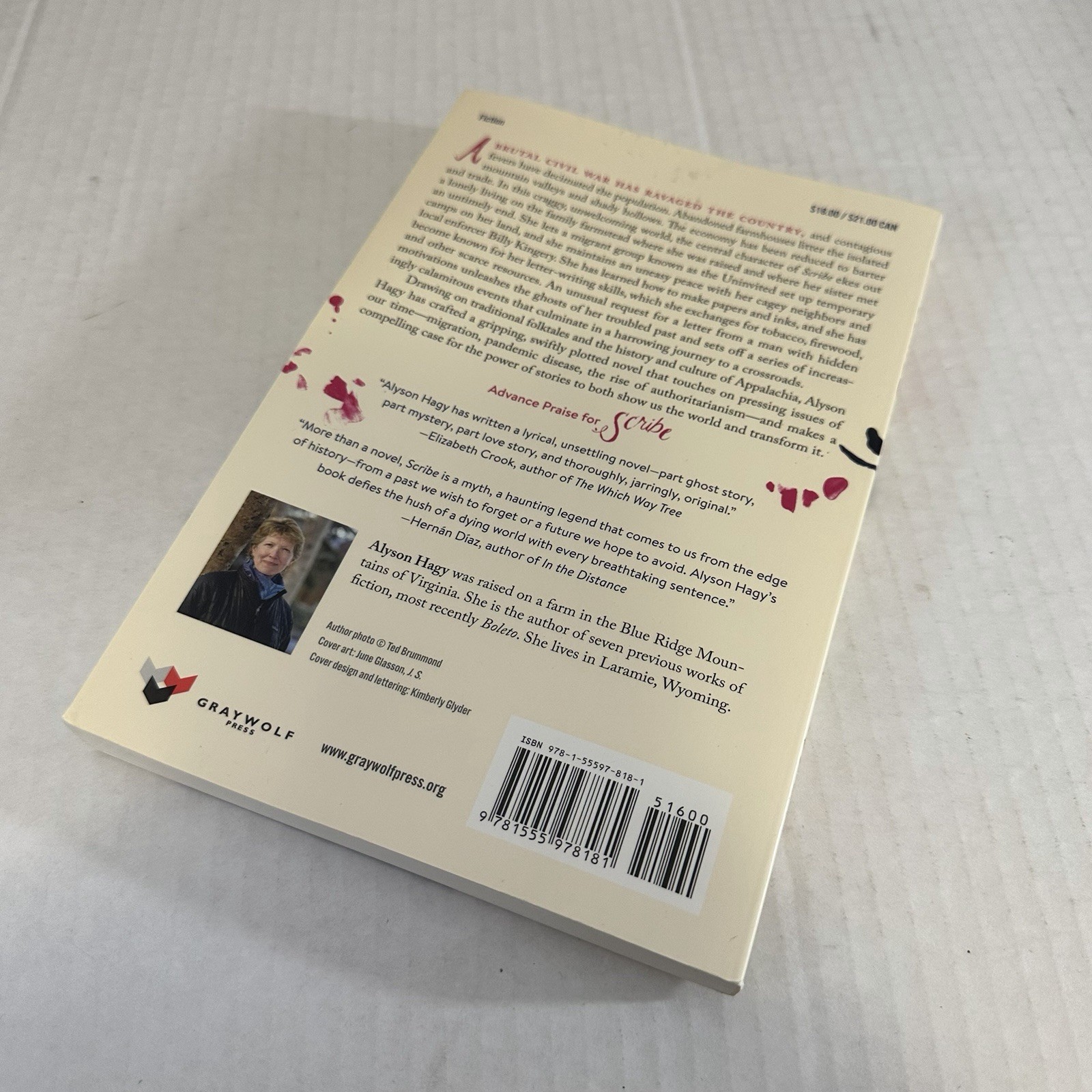 NEW Scribe : A Novel by Alyson Hagy (2018, Trade Paperback) Book