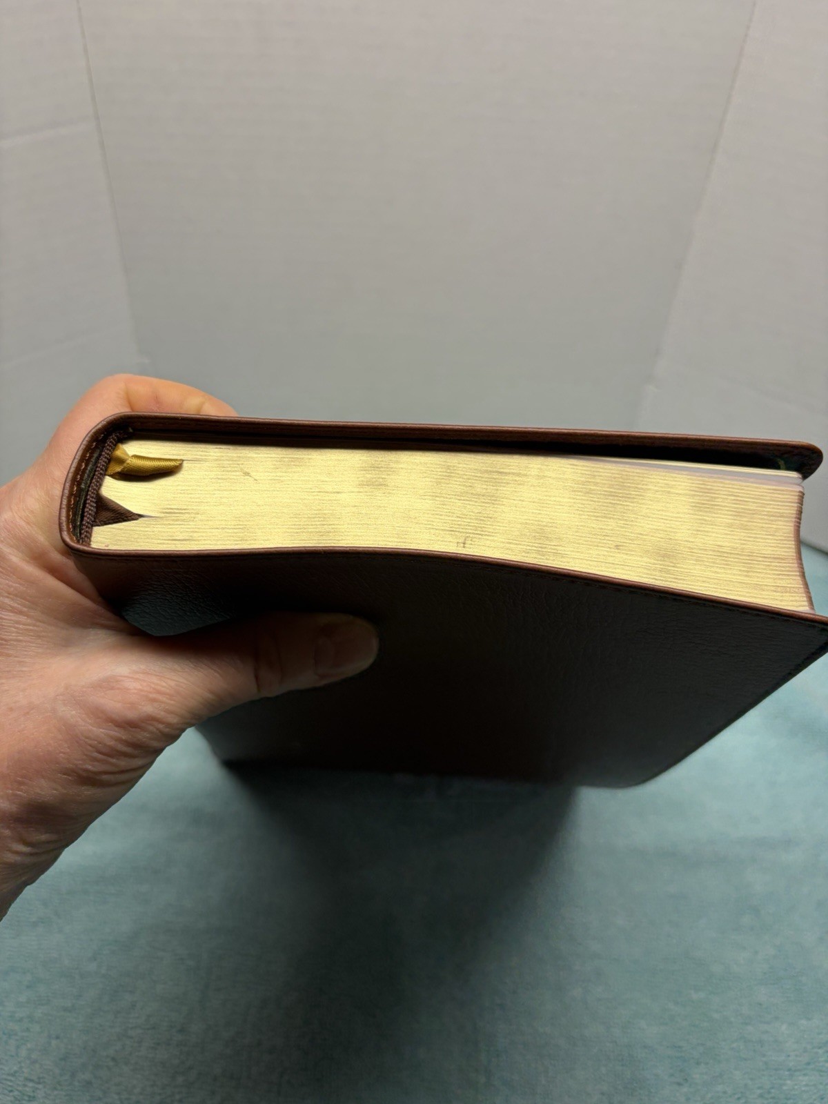 NIV Thinline Bible, Giant Print, Genuine Leather, Buffalo, Red Letter Edition
