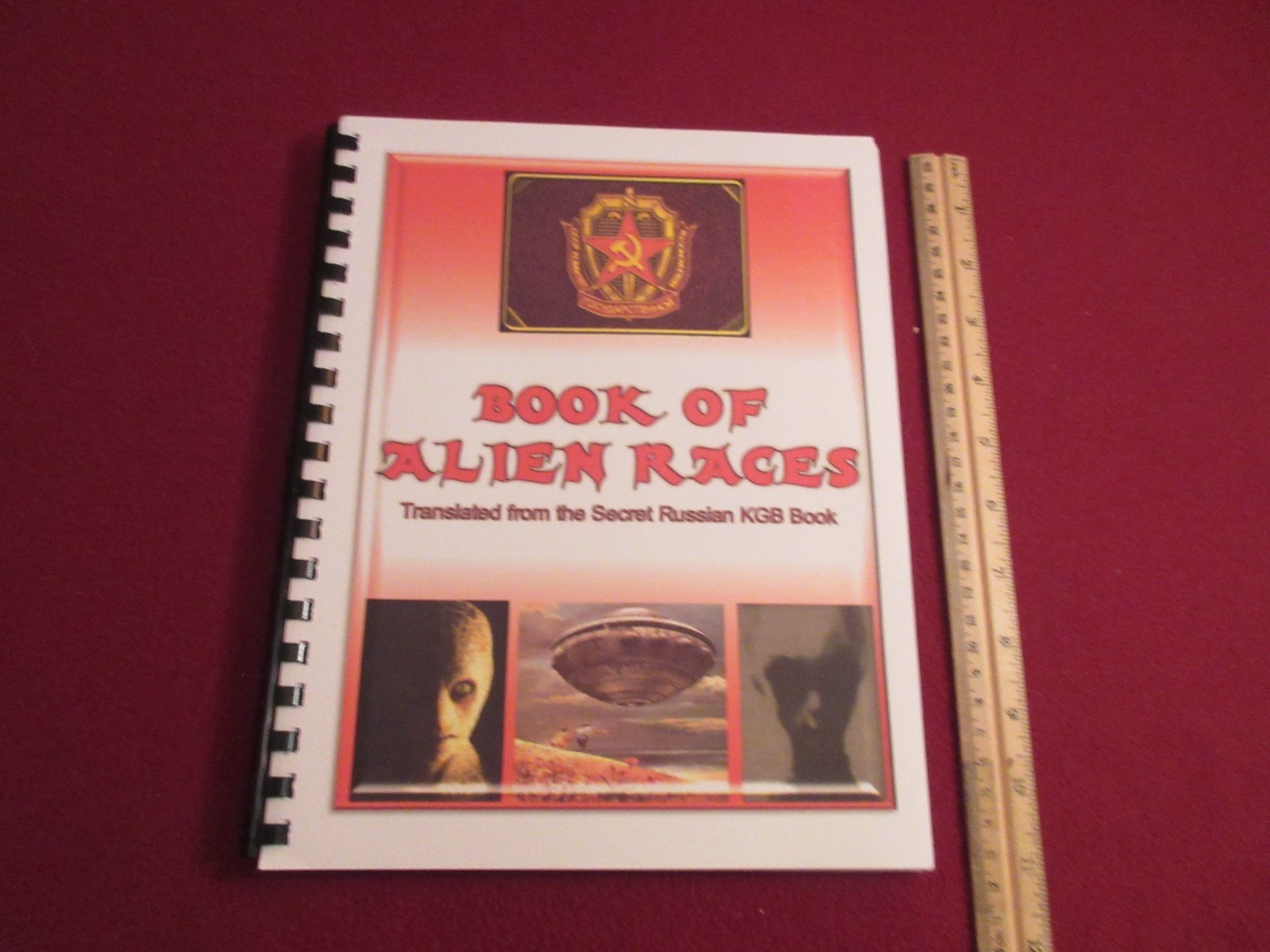 Book Of Alien Races Translated from KGB Secret Russian Book w/Pictures