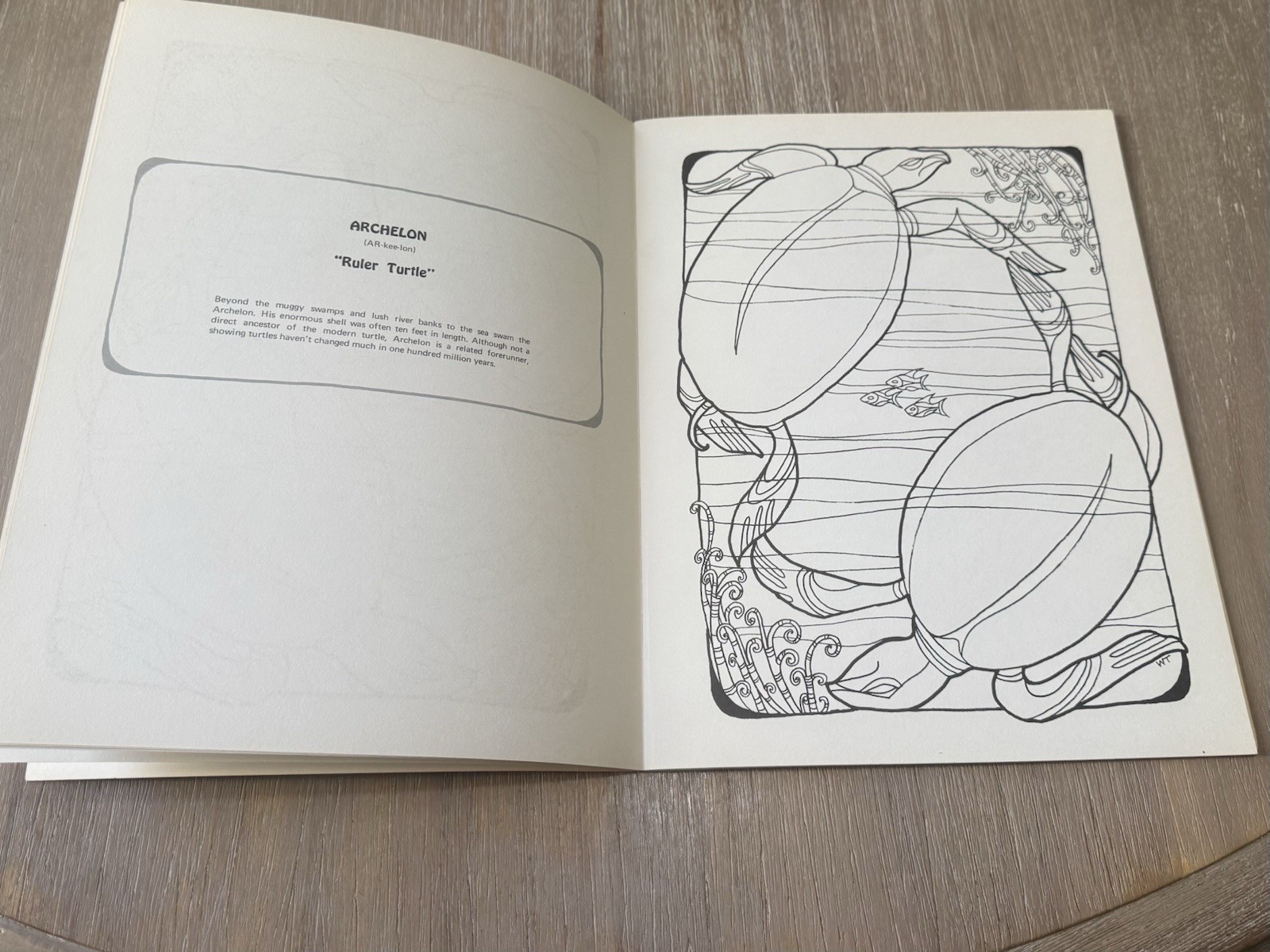 Dinosaur Coloring Book Troubador Press 1970 Retro Unused Oversized