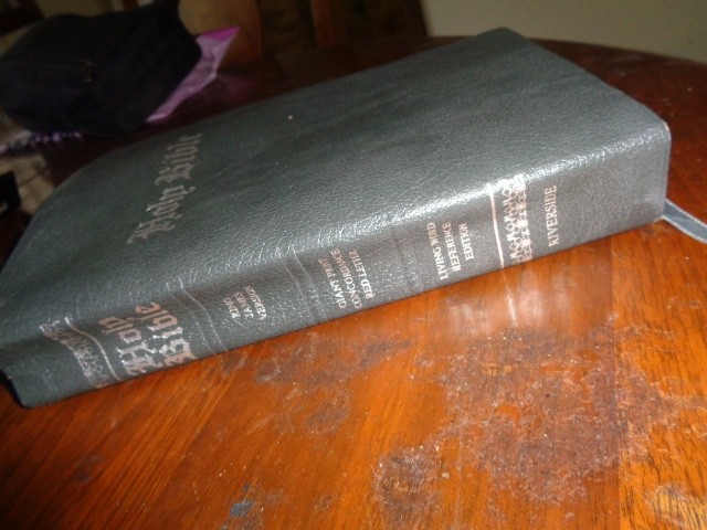 RIVERSIDE gray Genuine Leather Holy Bible KJV Giant Print Living Word WOC in red
