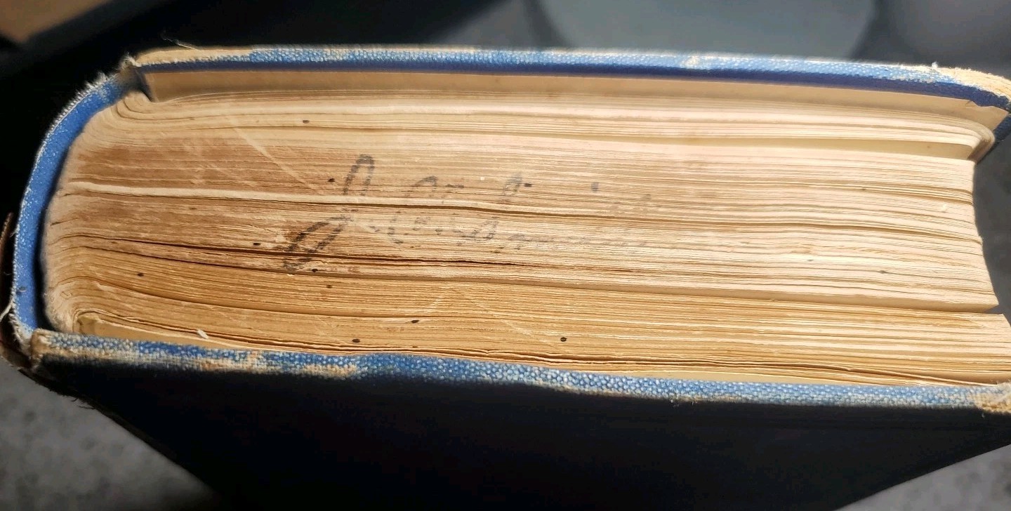 REED’S NEW GUIDE BOOK TO THE LOCAL MARINE EXAMS SUNDERLAND 1899 1800s