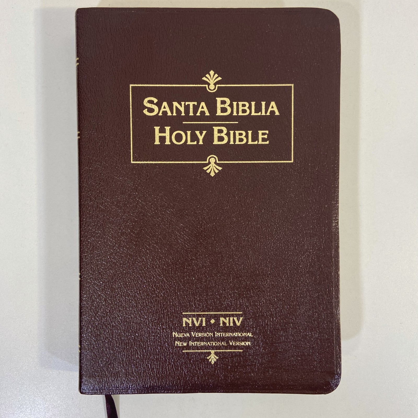 Bilingual Edition Santa Biblia NVI Holy Bible NIV 1999 Zondervan Vida Publishers