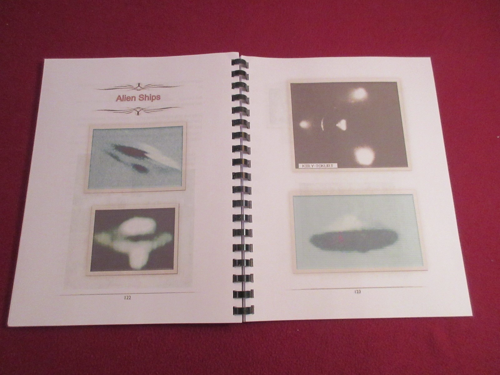 Book Of Alien Races Translated from KGB Secret Russian Book w/Pictures