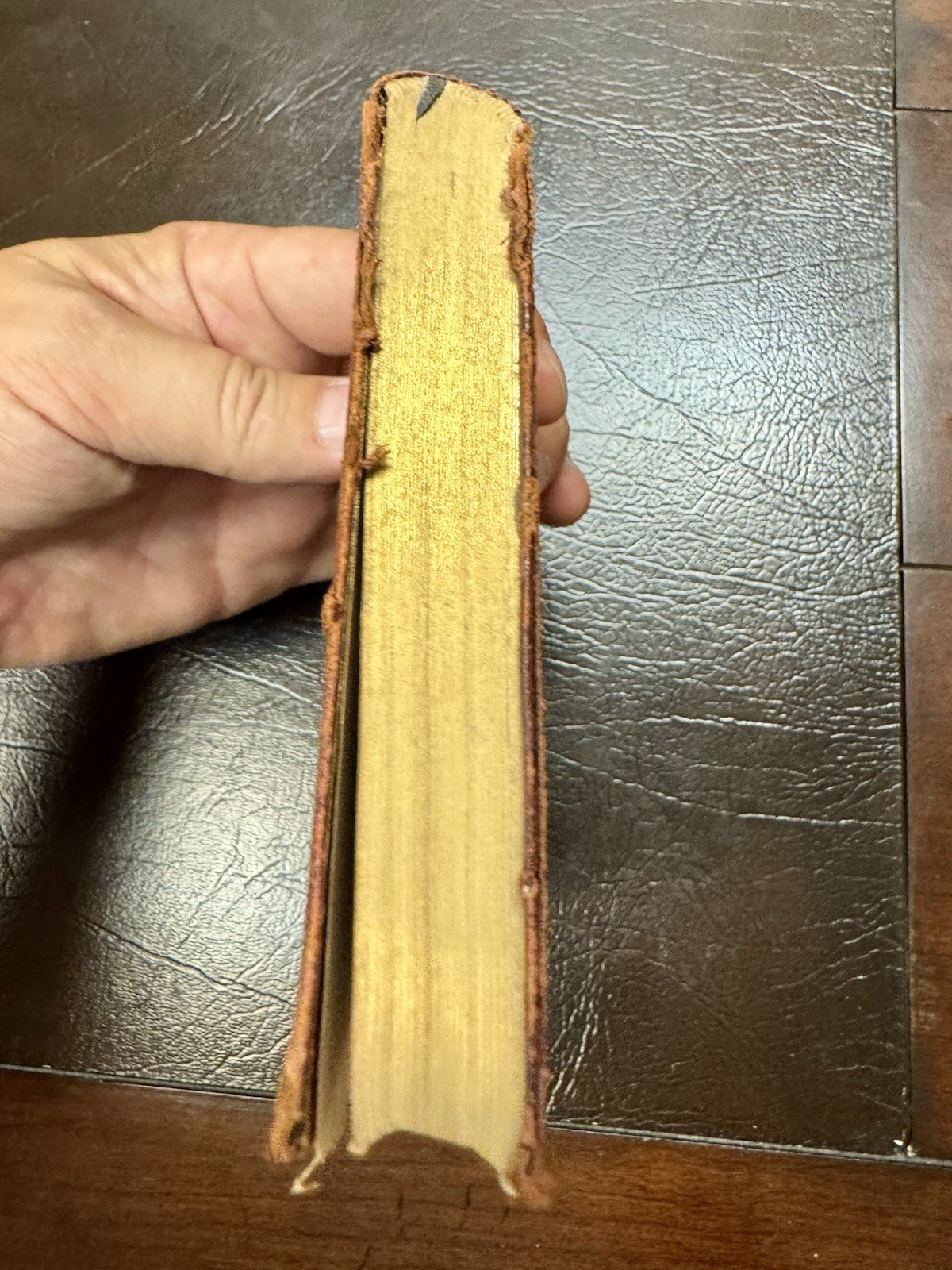 The Works of Edgar Allan Poe Vol II 1905 A.S. Barnes Antique Leather New Century