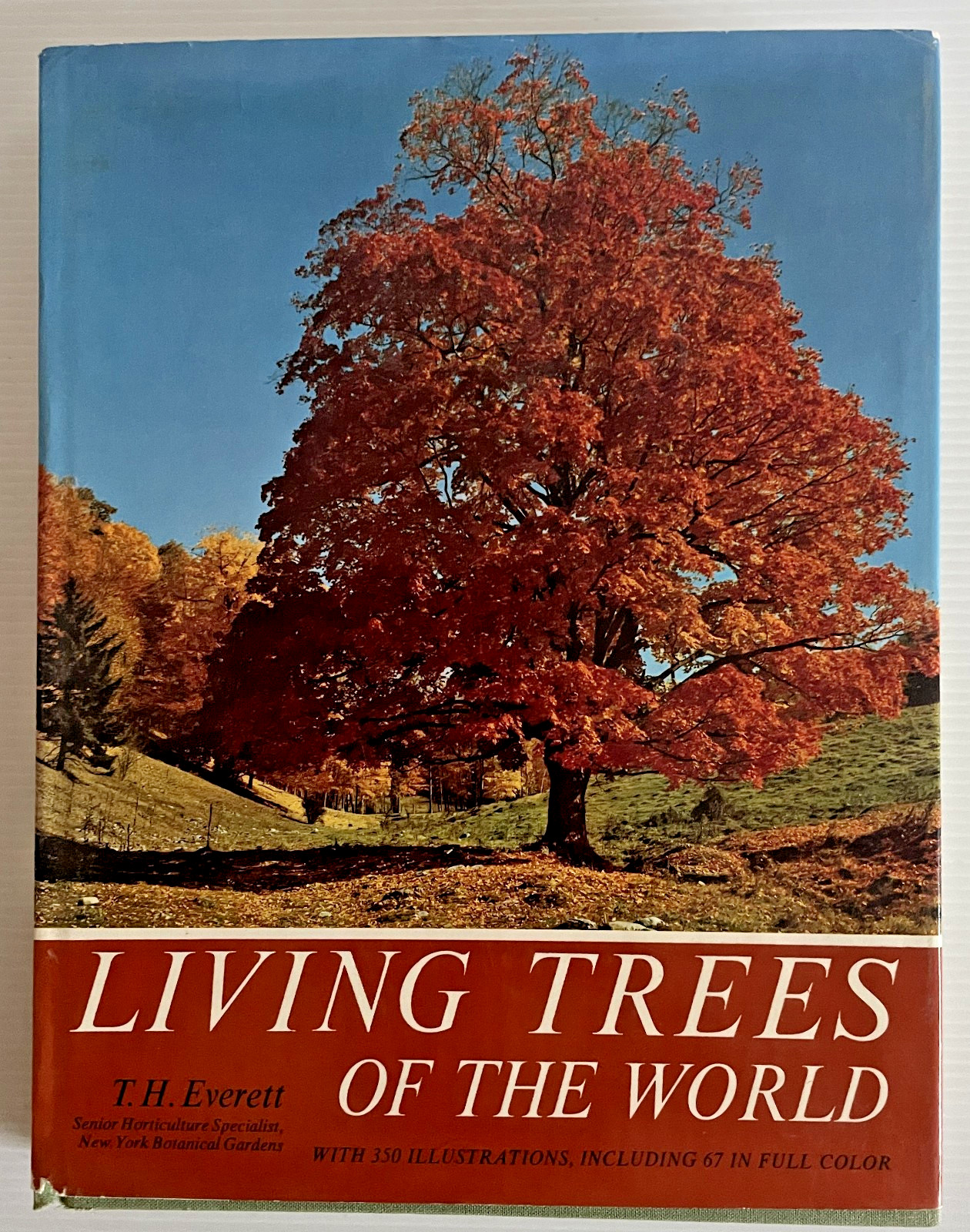 Living Trees of the World by T.H. Everett 315 Pages Doubleday 1973