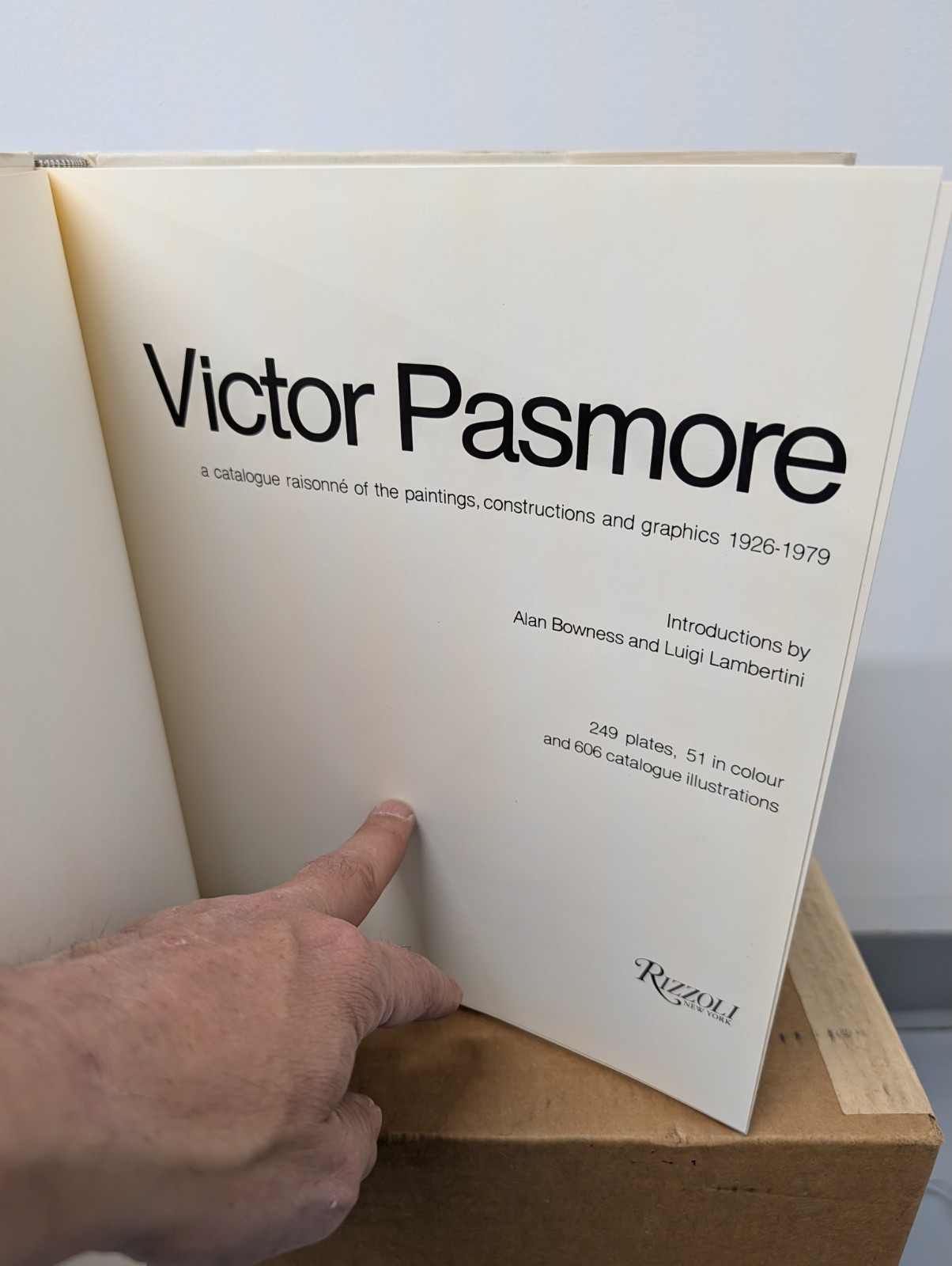 Victor Passmore Catalogue Raisonne 1926-1979 First Edition VG Rizzolli Art Book