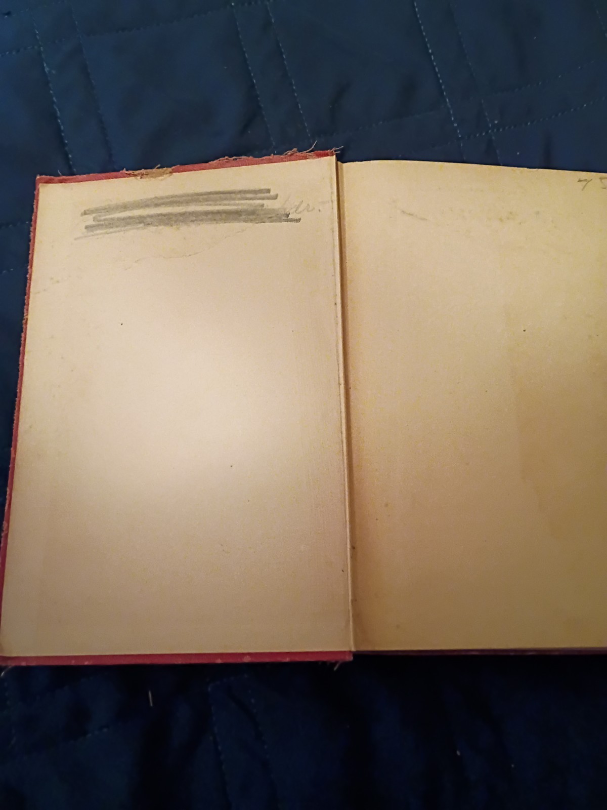 The Clansman Thomas Dixon Antique Hardcover Illustrated Birth of a Nation Photos