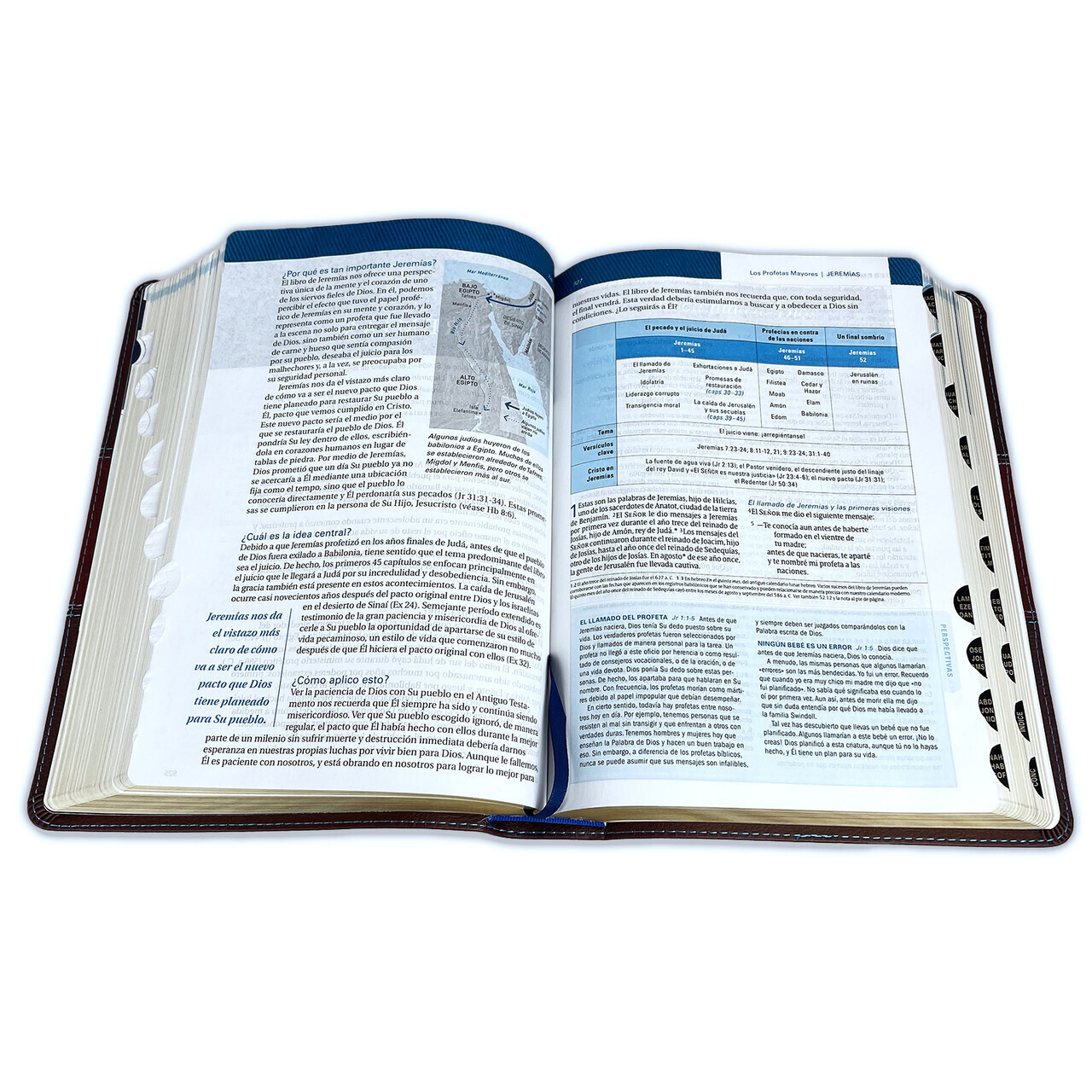 Biblia de Estudio Swindoll NTV: imit. piel duotono café con indice