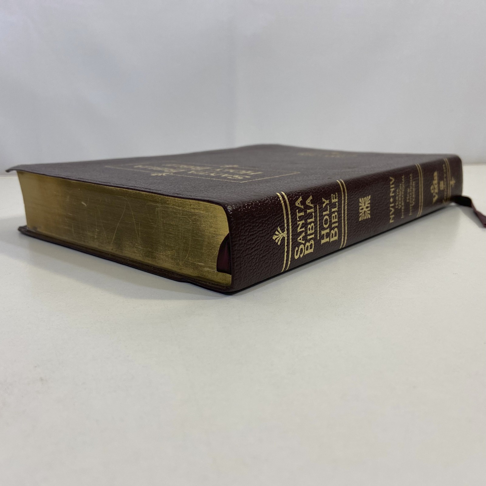 Bilingual Edition Santa Biblia NVI Holy Bible NIV 1999 Zondervan Vida Publishers
