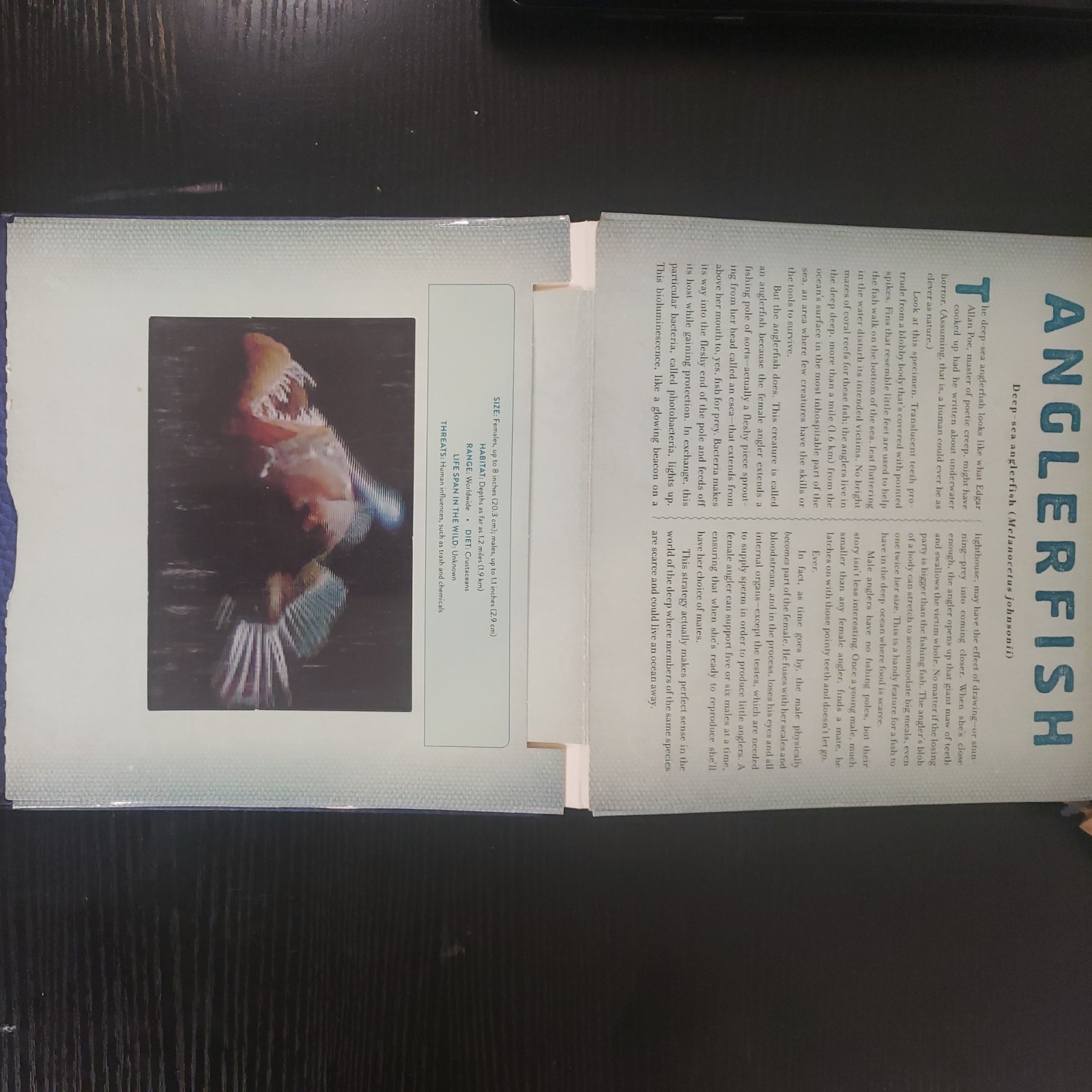 Ocean : A Photicular Book by Carol Kaufmann and Dan Kainen (2014, Hardcover)