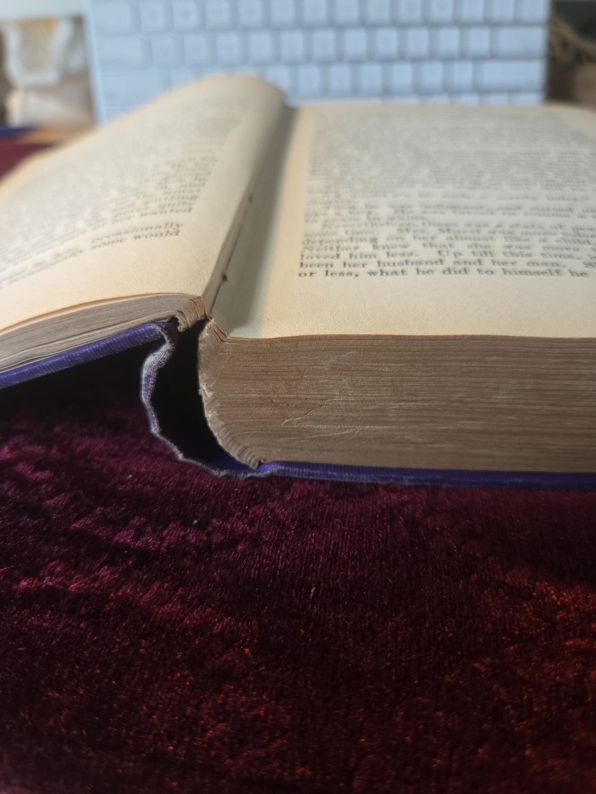 Sons and Lovers by D.H. LAWRENCE ~ First Edition 1913 ~ 1st US Printing