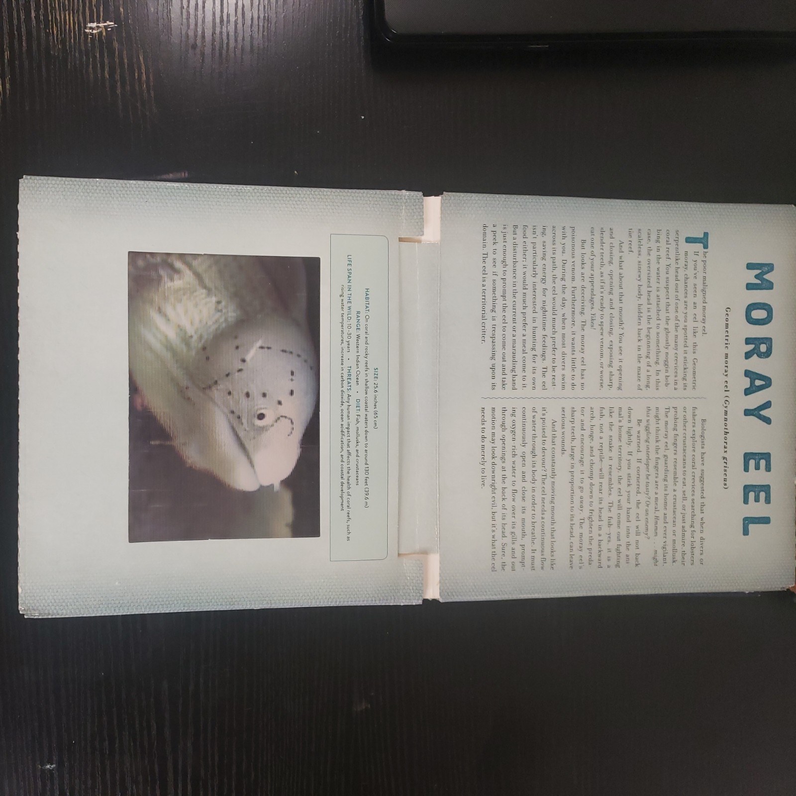 Ocean : A Photicular Book by Carol Kaufmann and Dan Kainen (2014, Hardcover)